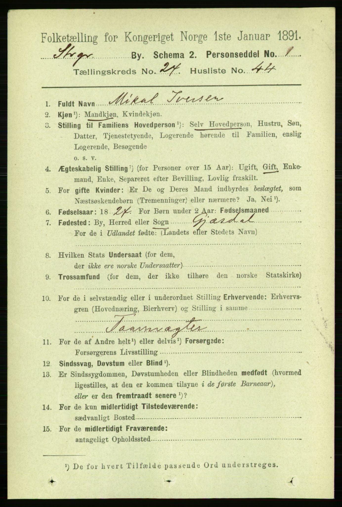 RA, 1891 census for 1103 Stavanger, 1891, p. 26784