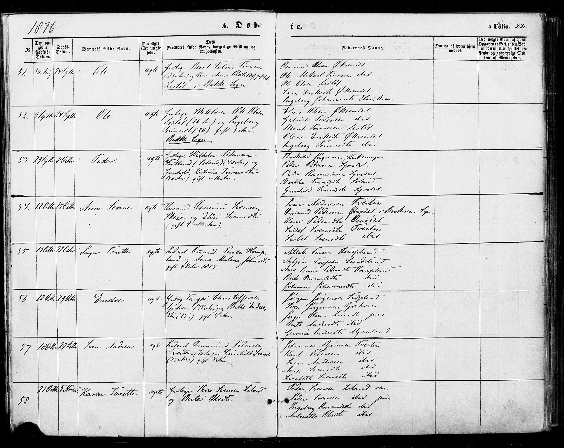 Sirdal sokneprestkontor, AV/SAK-1111-0036/F/Fa/Fab/L0003: Parish register (official) no. A 3, 1874-1886, p. 22