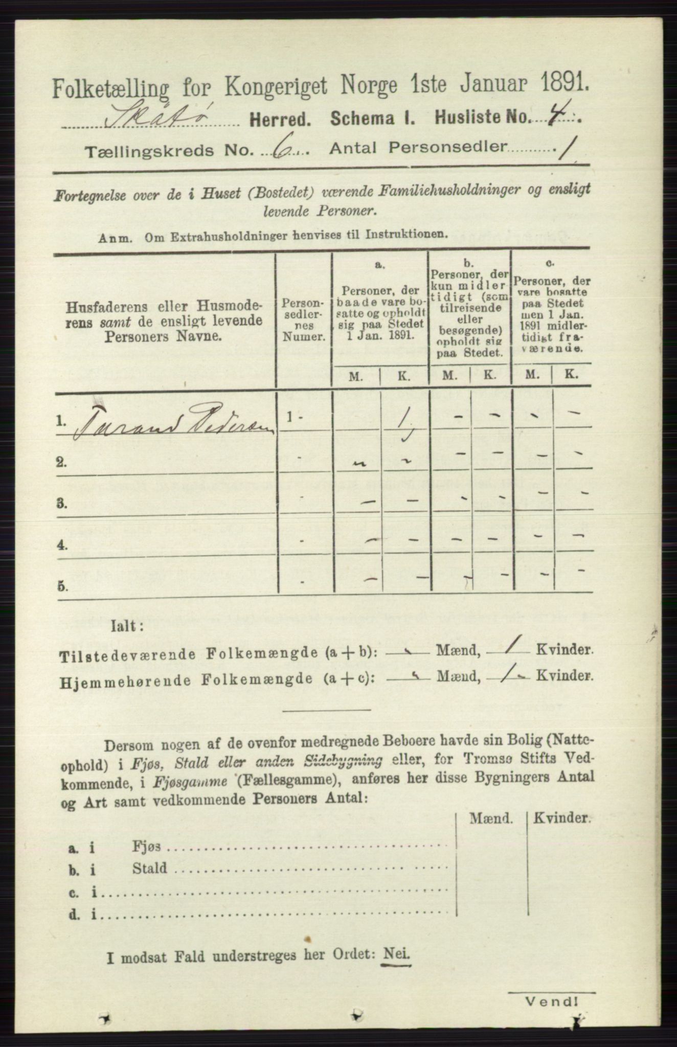 RA, 1891 census for 0815 Skåtøy, 1891, p. 2883