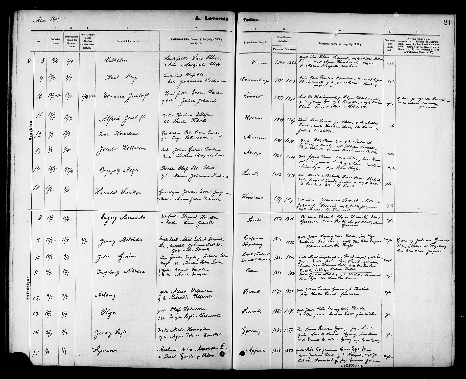 Ministerialprotokoller, klokkerbøker og fødselsregistre - Nord-Trøndelag, SAT/A-1458/780/L0652: Parish register (copy) no. 780C04, 1899-1911, p. 21