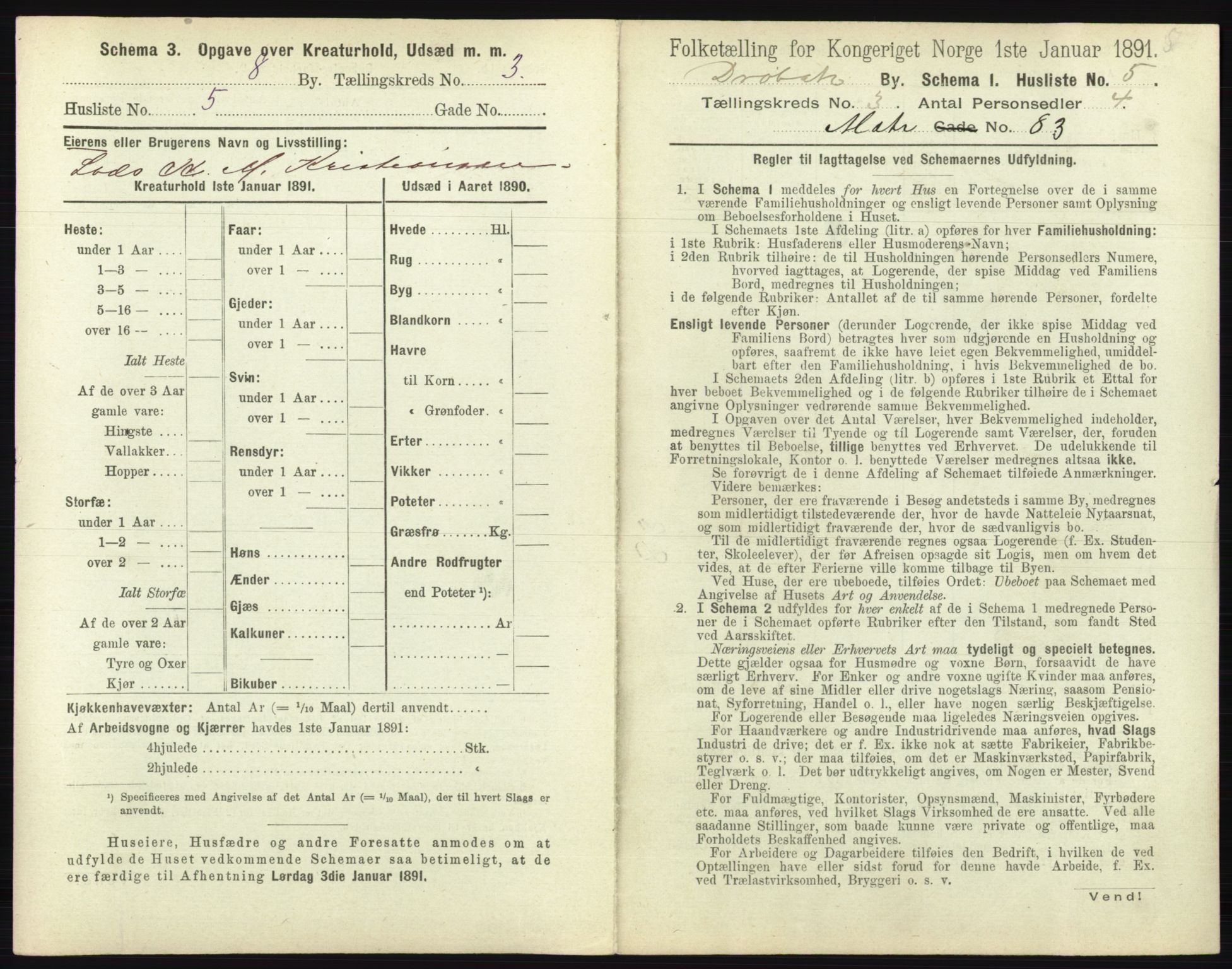 RA, 1891 census for 0203 Drøbak, 1891, p. 331