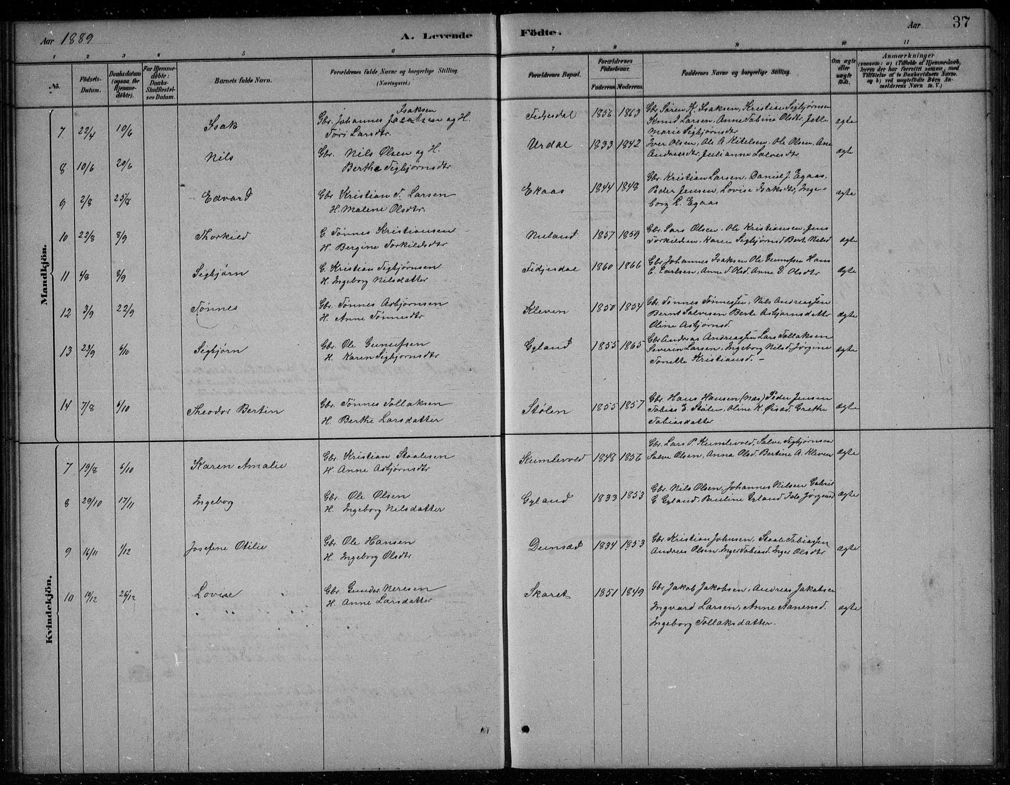 Bakke sokneprestkontor, AV/SAK-1111-0002/F/Fb/Fbb/L0003: Parish register (copy) no. B 3, 1878-1896, p. 37