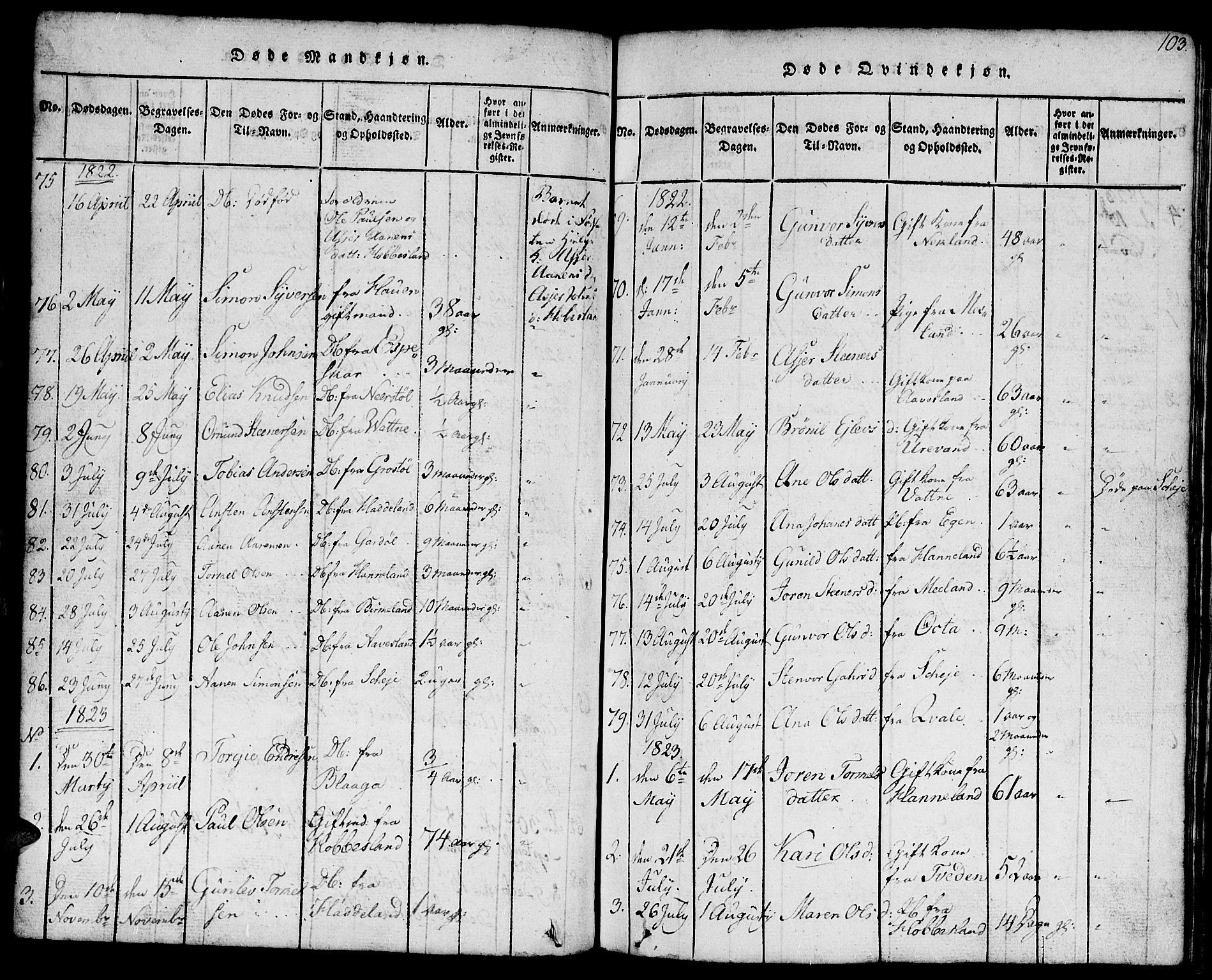 Hægebostad sokneprestkontor, AV/SAK-1111-0024/F/Fb/Fbb/L0001: Parish register (copy) no. B 1, 1816-1850, p. 103