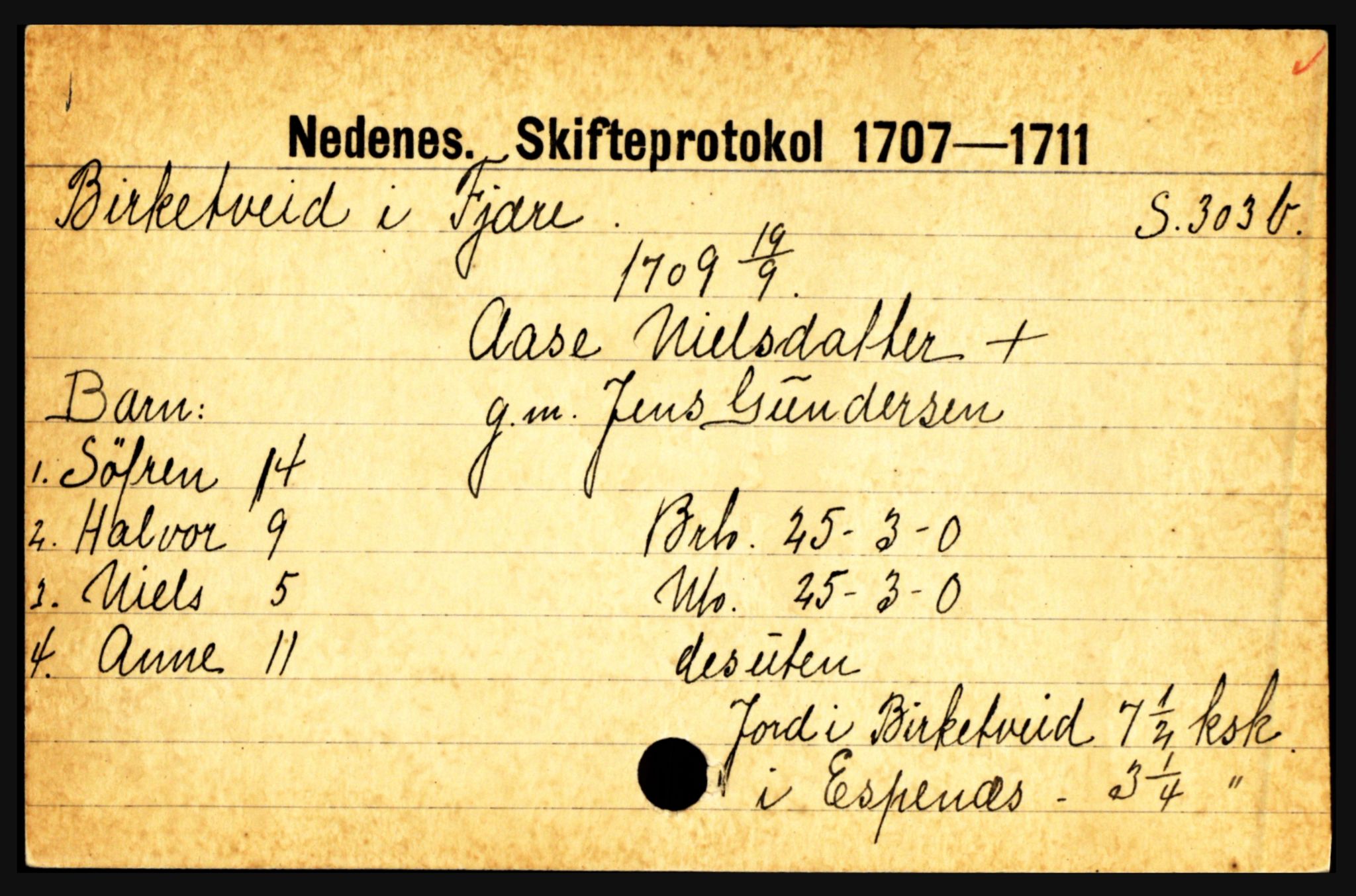 Nedenes sorenskriveri før 1824, AV/SAK-1221-0007/H, p. 2657
