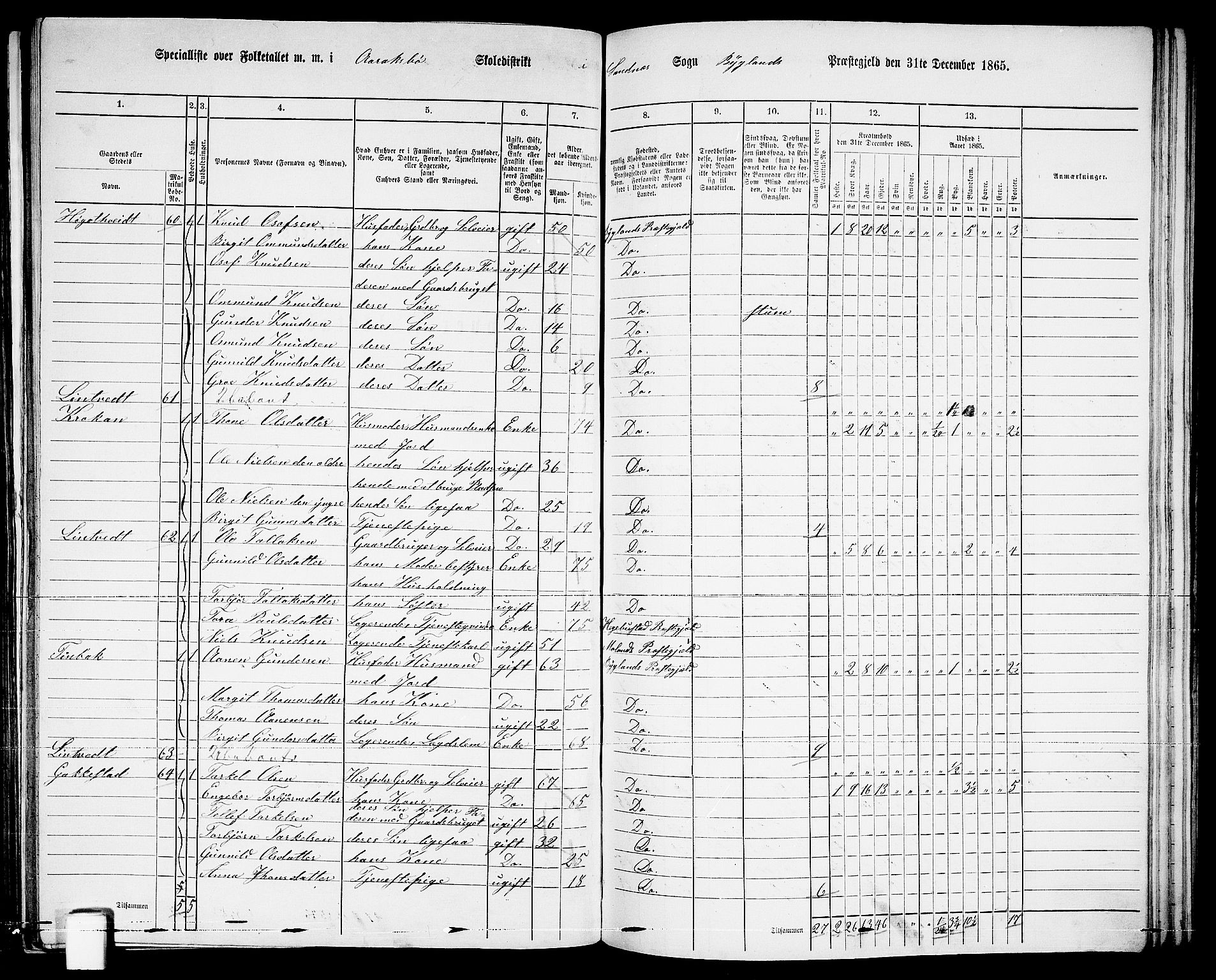 RA, 1865 census for Bygland, 1865, p. 34
