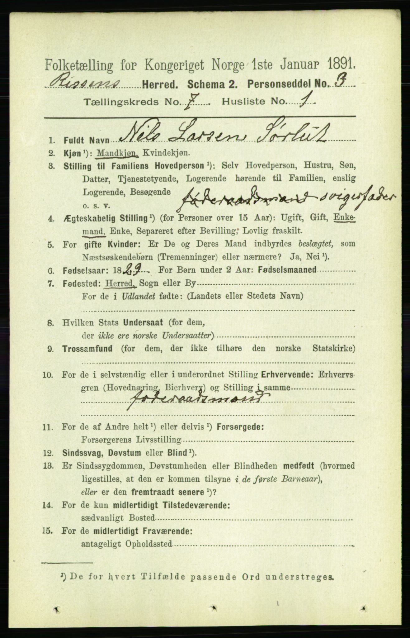 RA, 1891 census for 1624 Rissa, 1891, p. 3991