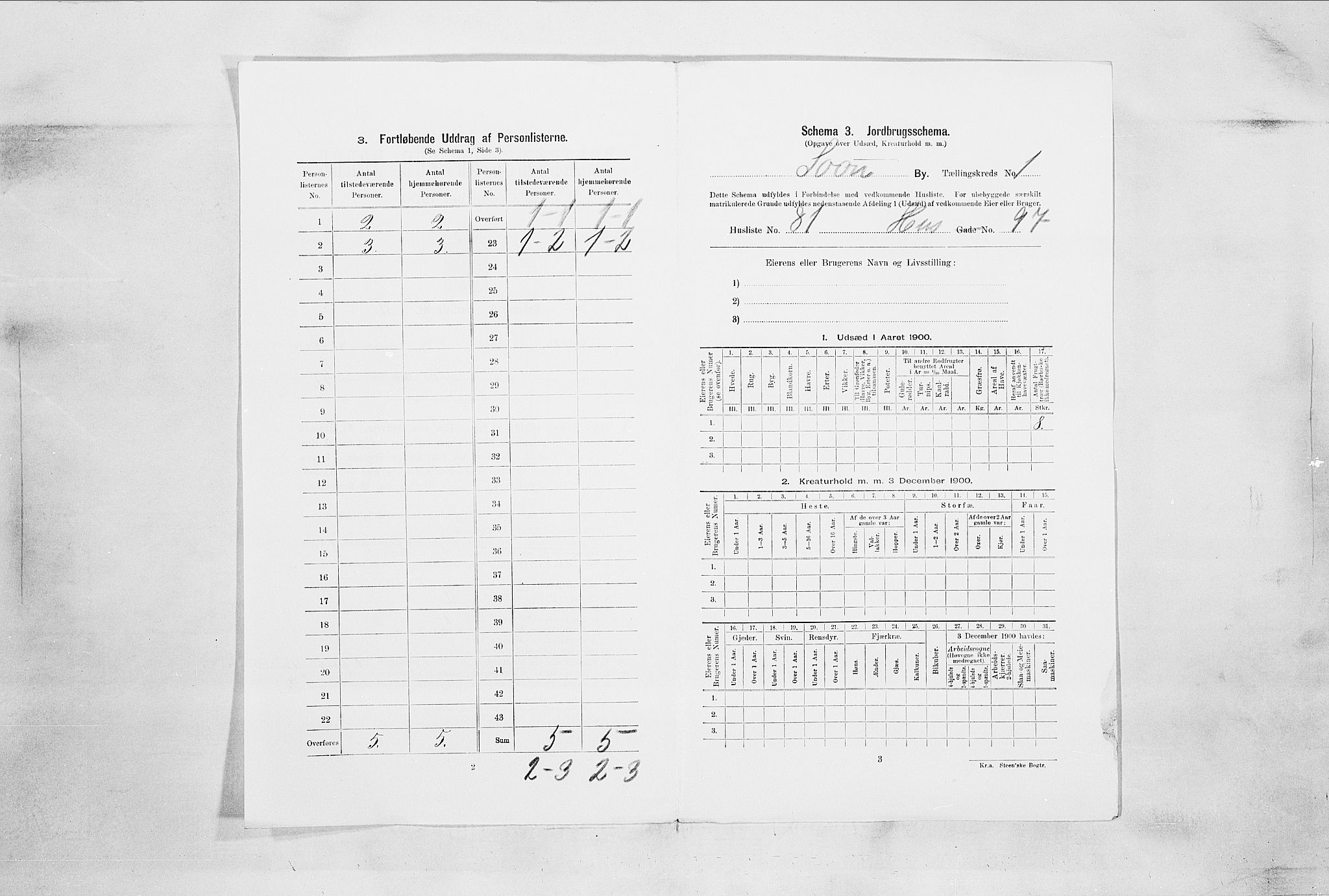 SAO, 1900 census for Son, 1900