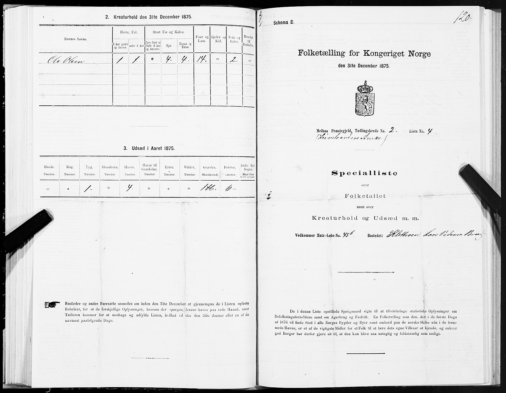 SAT, 1875 census for 1653P Melhus, 1875, p. 8120