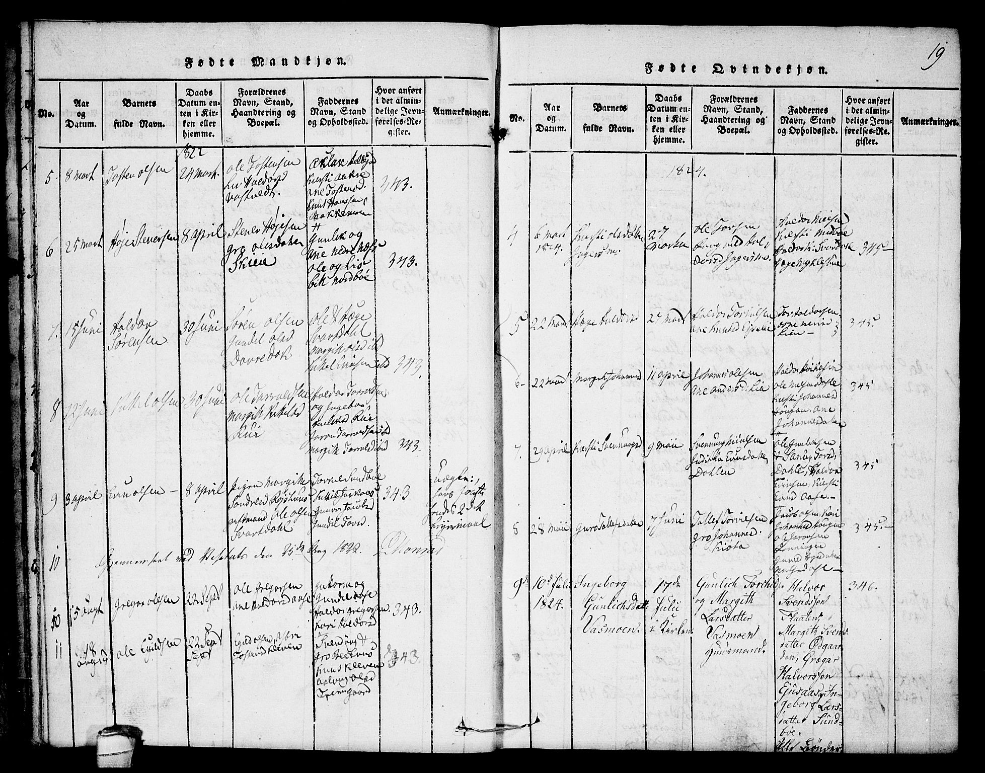 Seljord kirkebøker, SAKO/A-20/F/Fb/L0001: Parish register (official) no. II 1, 1815-1831, p. 19