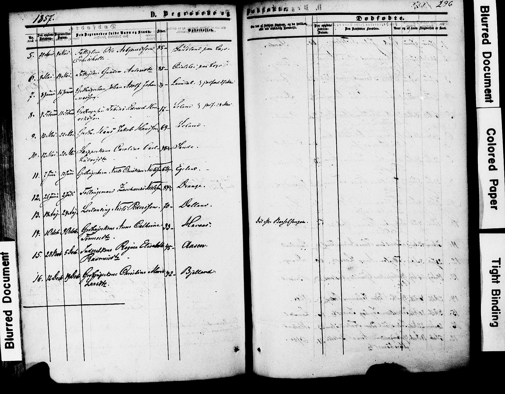 Herad sokneprestkontor, AV/SAK-1111-0018/F/Fa/Faa/L0005: Parish register (official) no. A 5, 1853-1886, p. 296