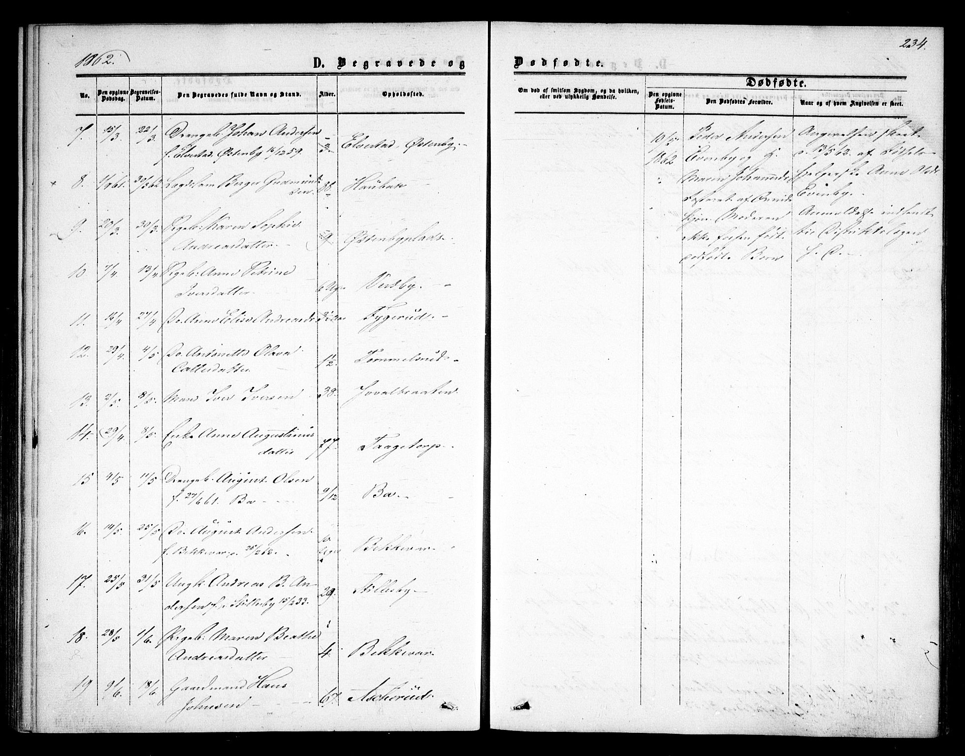 Rødenes prestekontor Kirkebøker, AV/SAO-A-2005/F/Fa/L0007: Parish register (official) no. I 7, 1860-1869, p. 234