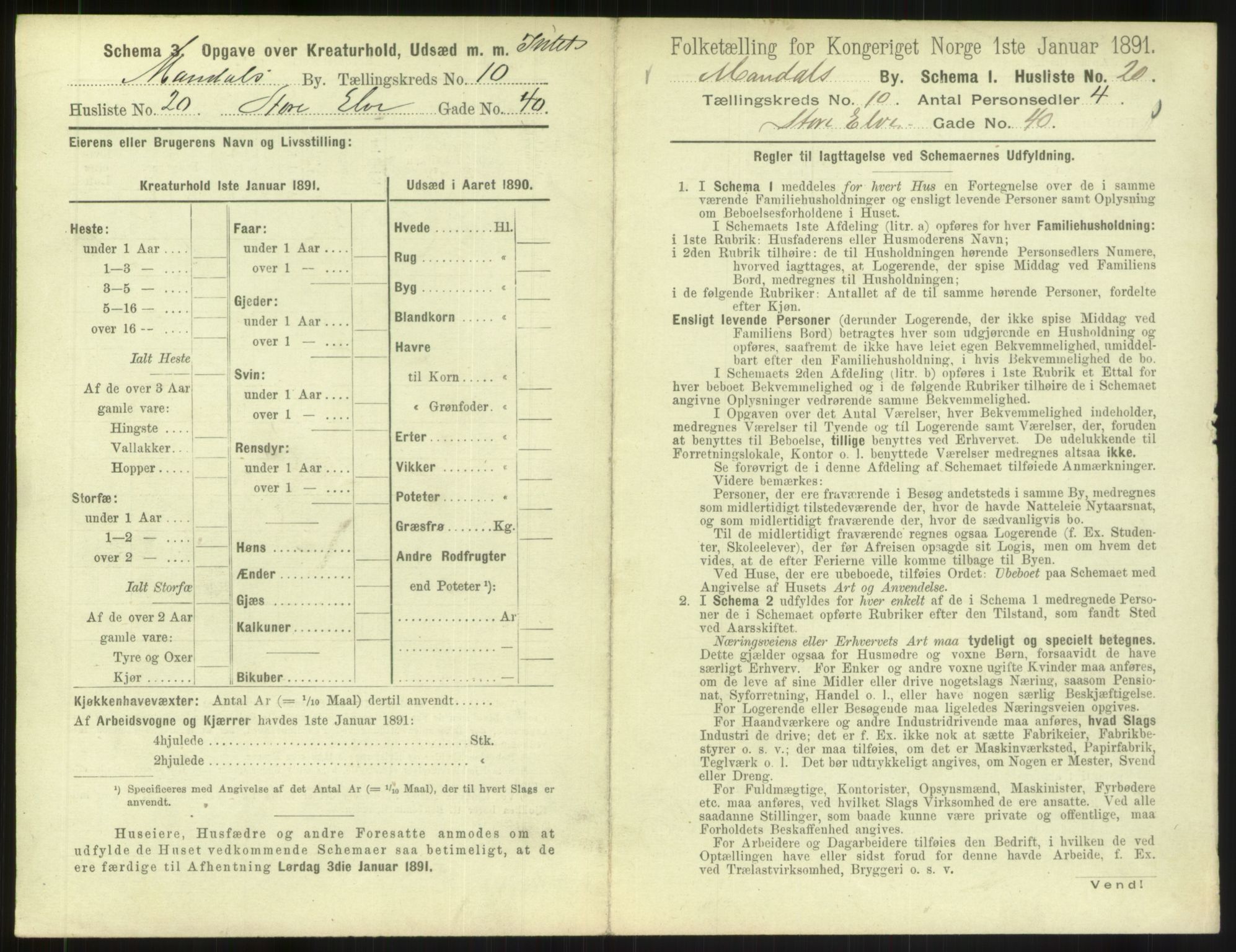 RA, 1891 census for 1002 Mandal, 1891, p. 523