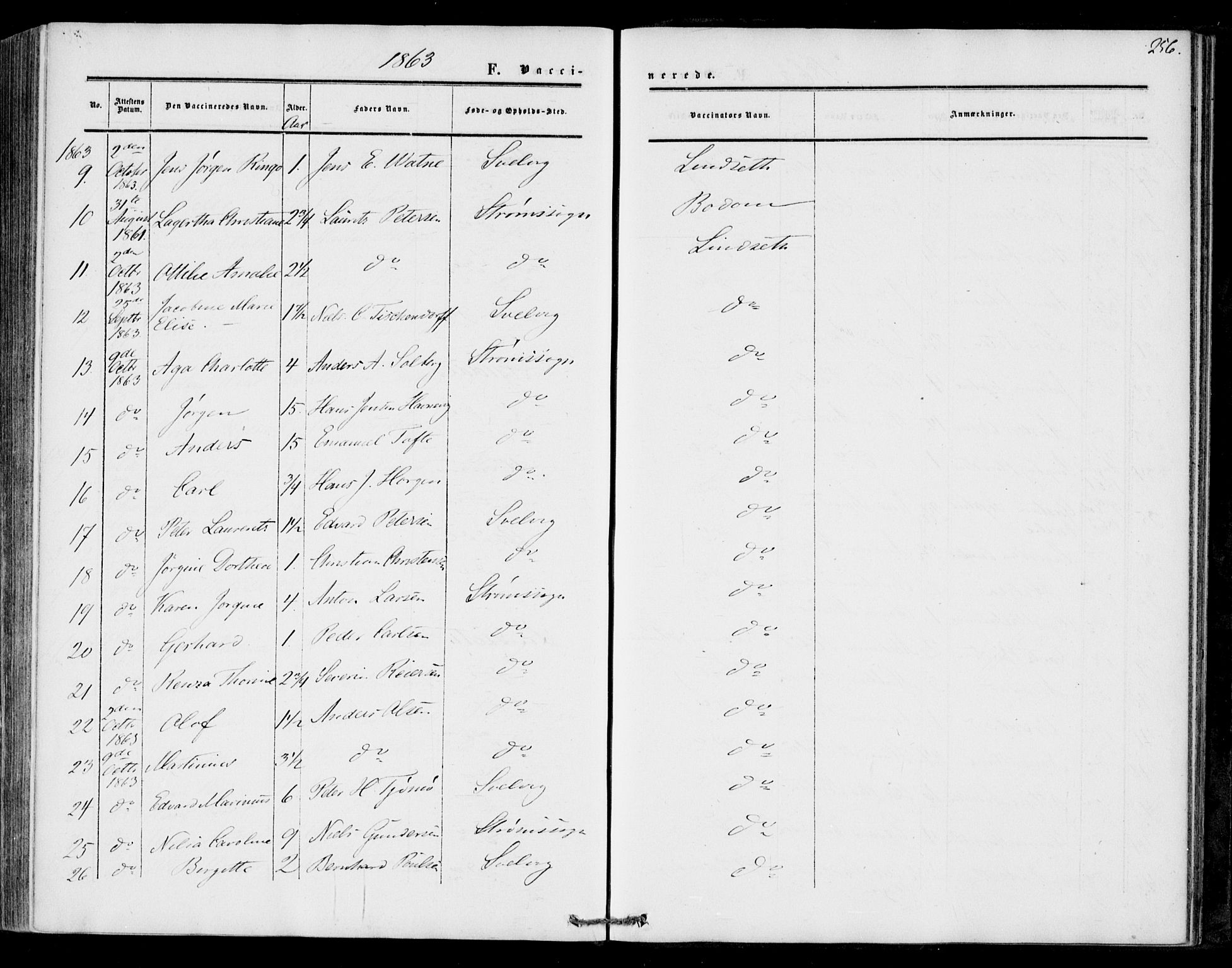 Strømm kirkebøker, AV/SAKO-A-322/F/Fa/L0001: Parish register (official) no. I 1, 1861-1869, p. 256