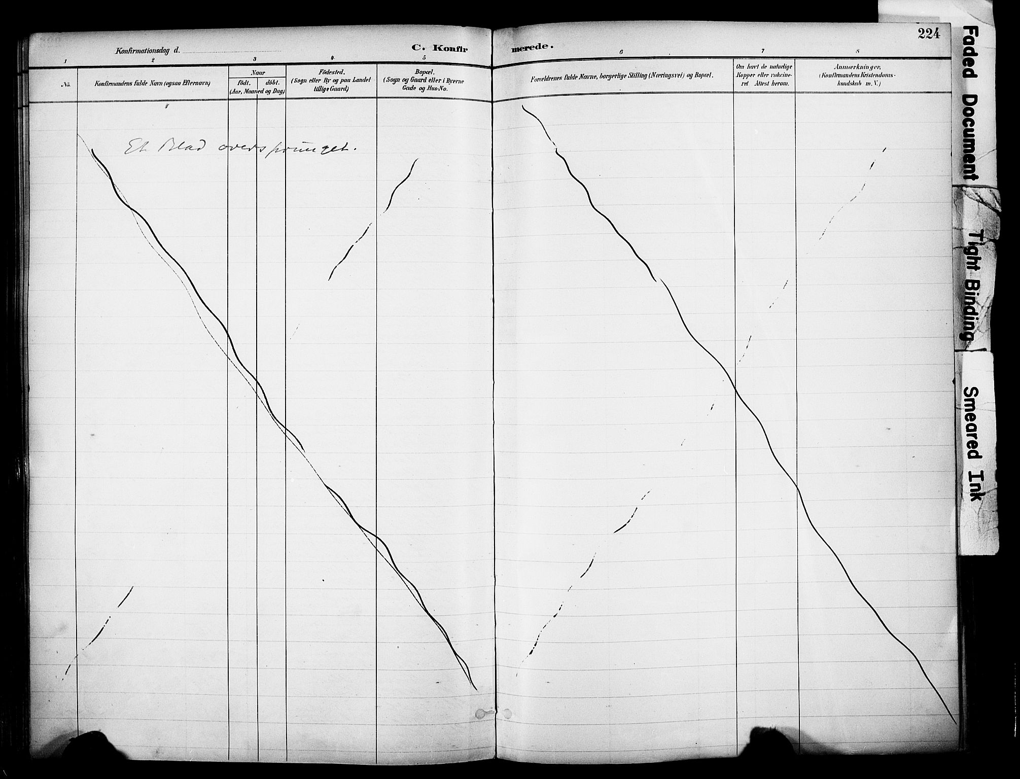 Ringsaker prestekontor, AV/SAH-PREST-014/K/Ka/L0017: Parish register (official) no. 17, 1891-1902, p. 224