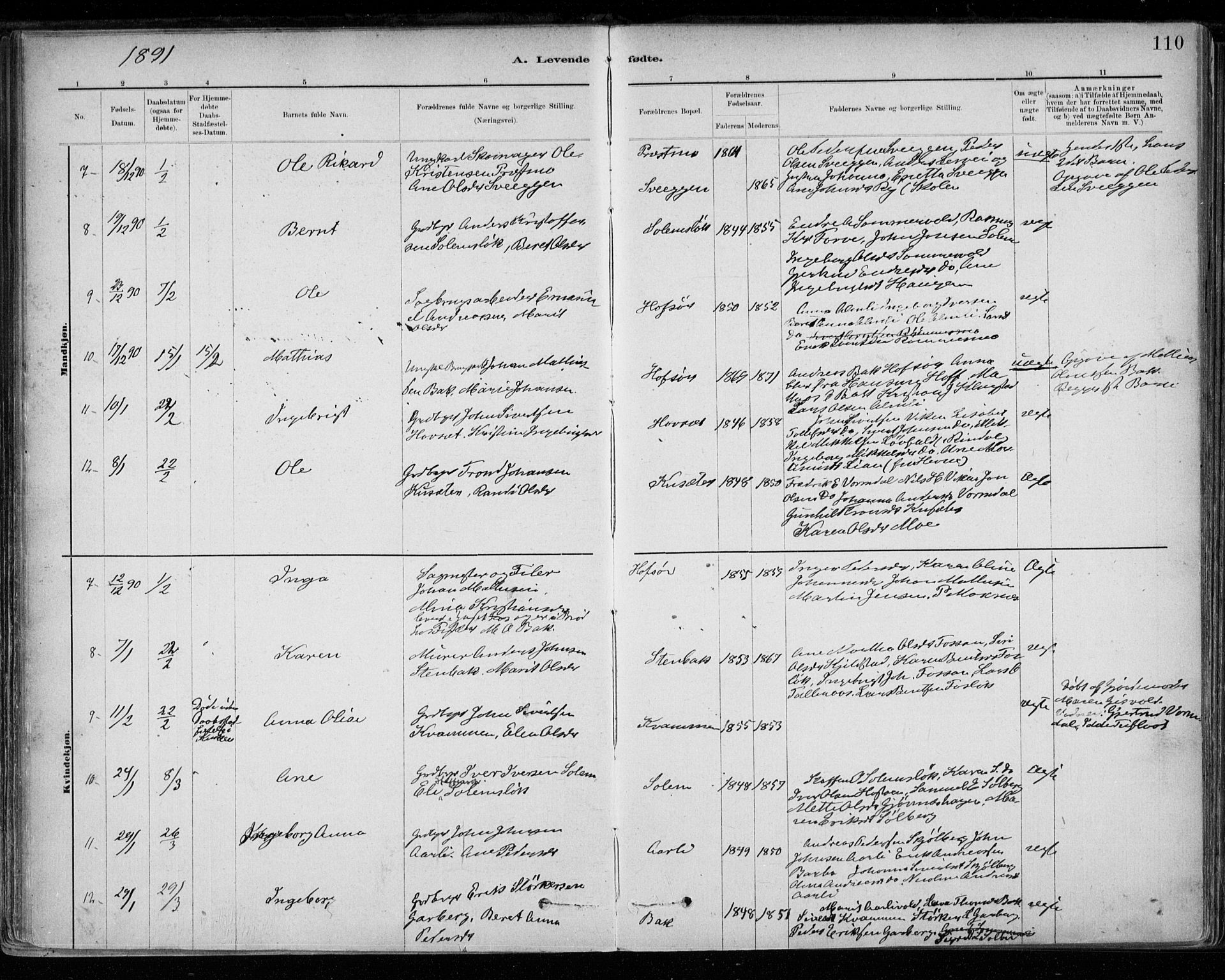 Ministerialprotokoller, klokkerbøker og fødselsregistre - Sør-Trøndelag, SAT/A-1456/668/L0809: Parish register (official) no. 668A09, 1881-1895, p. 110