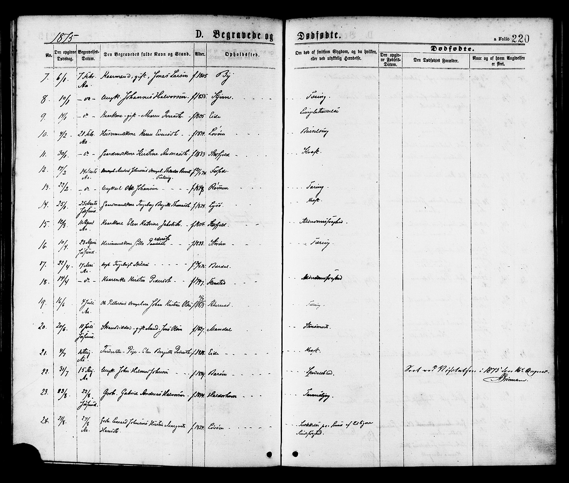 Ministerialprotokoller, klokkerbøker og fødselsregistre - Sør-Trøndelag, SAT/A-1456/655/L0679: Parish register (official) no. 655A08, 1873-1879, p. 220
