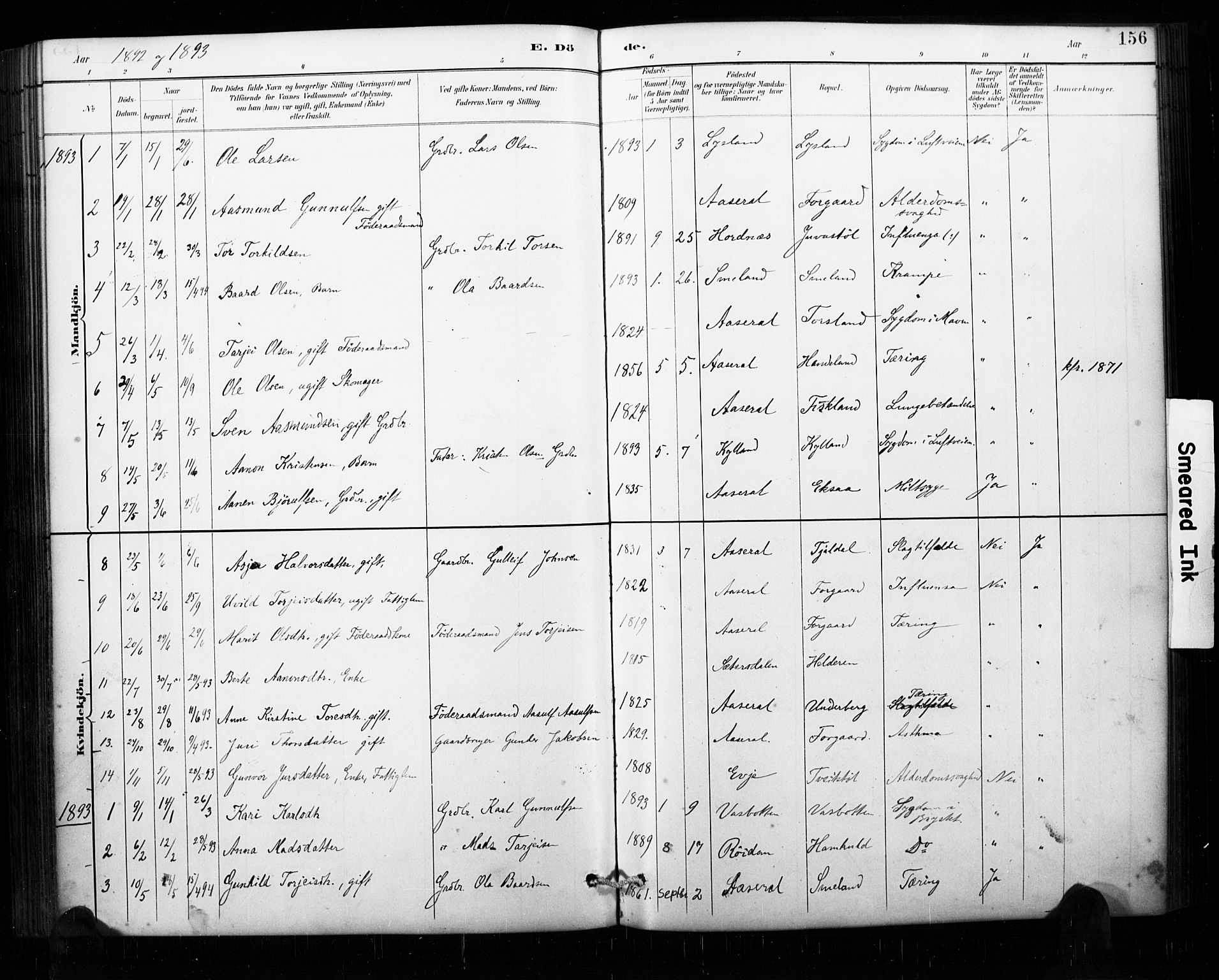 Åseral sokneprestkontor, AV/SAK-1111-0051/F/Fa/L0003: Parish register (official) no. A 3, 1884-1901, p. 156