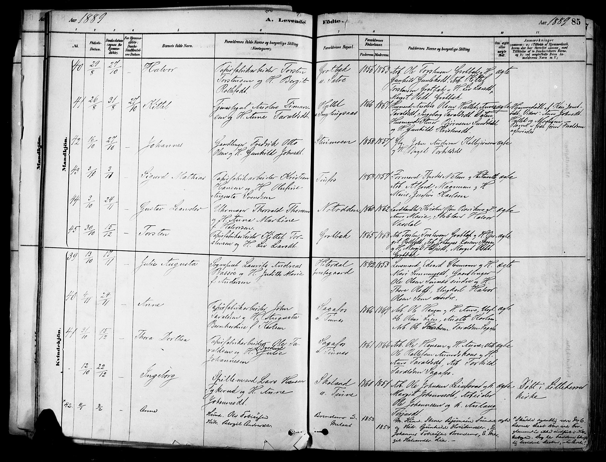 Heddal kirkebøker, SAKO/A-268/F/Fa/L0008: Parish register (official) no. I 8, 1878-1903, p. 85