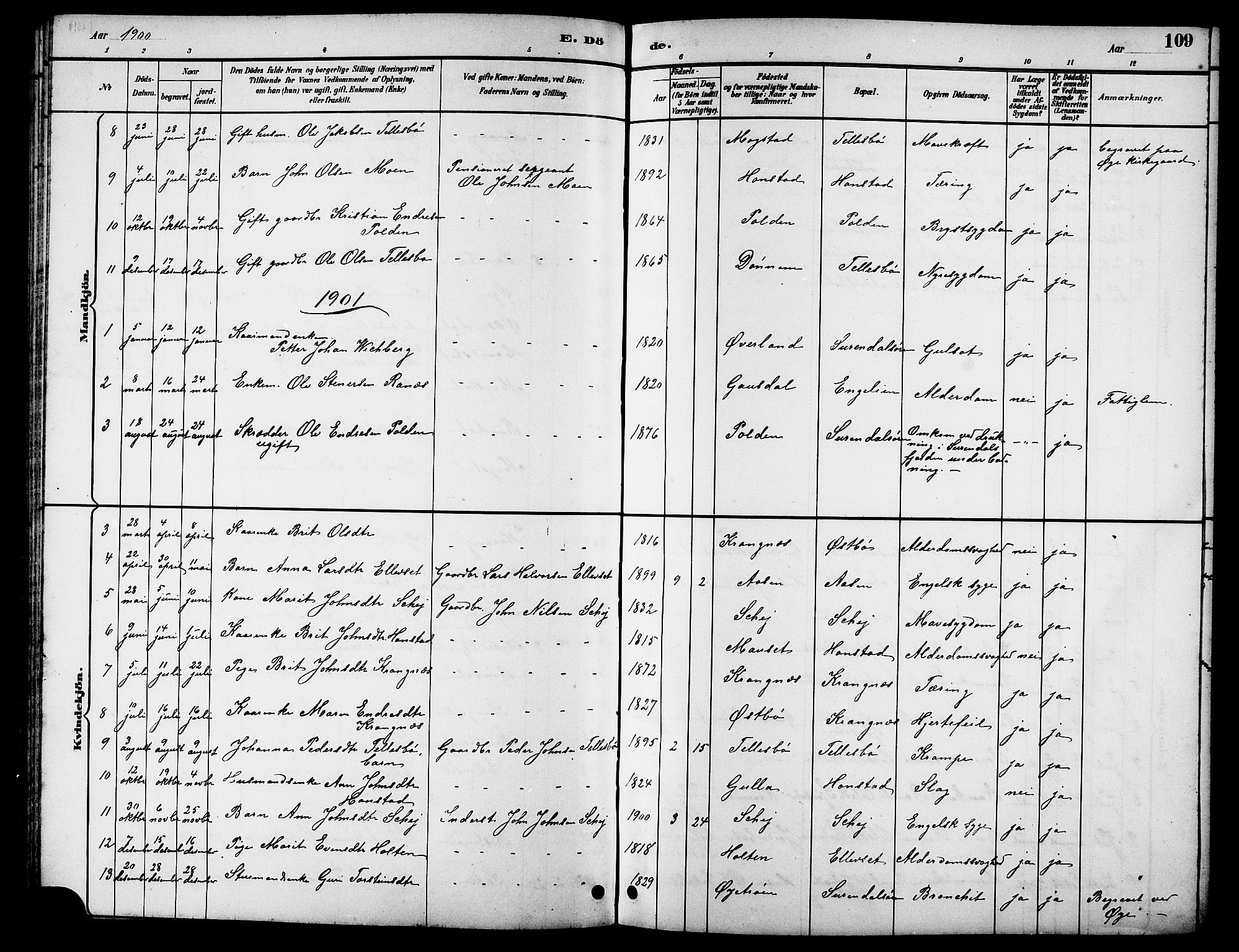 Ministerialprotokoller, klokkerbøker og fødselsregistre - Møre og Romsdal, AV/SAT-A-1454/596/L1058: Parish register (copy) no. 596C01, 1891-1907, p. 109