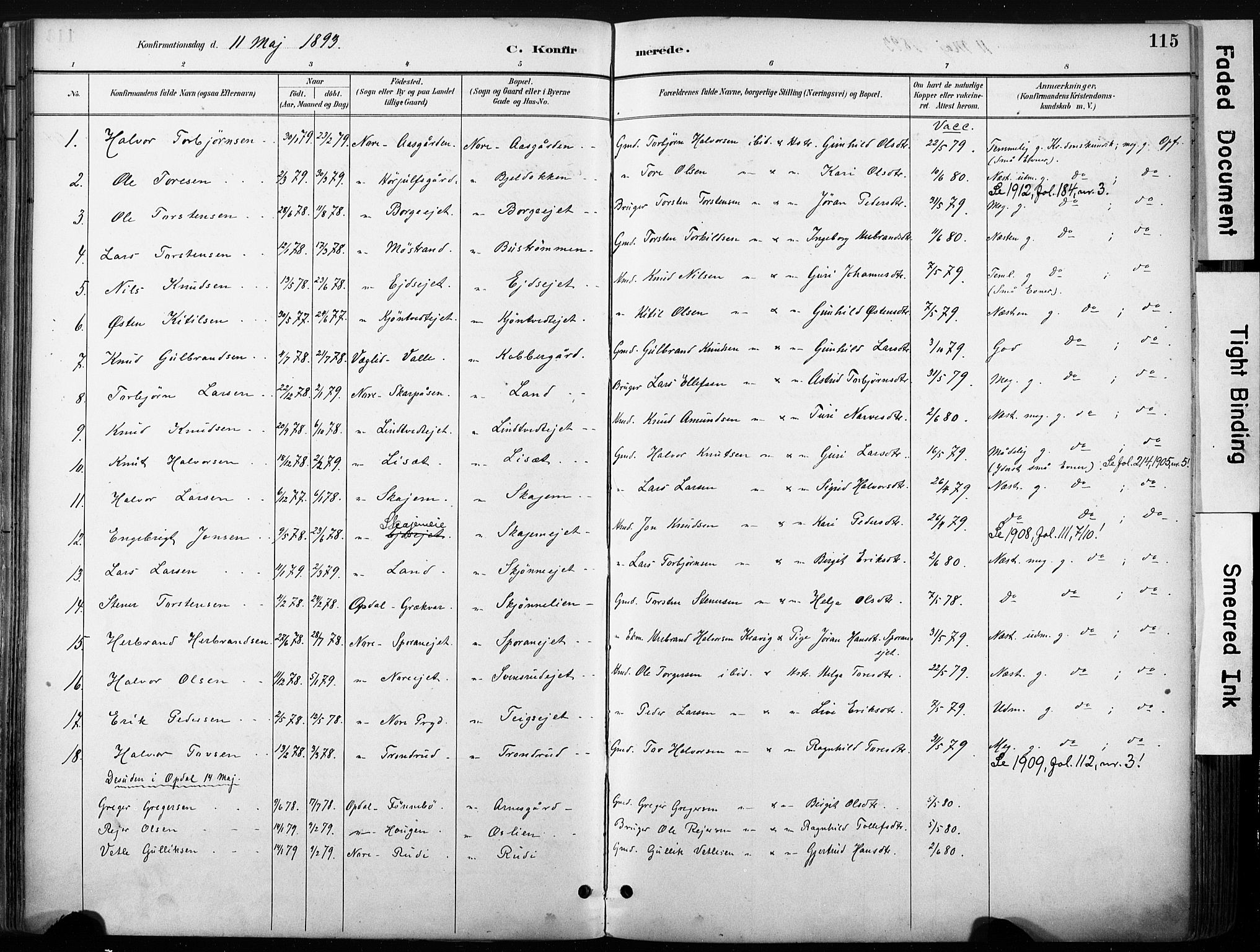 Nore kirkebøker, SAKO/A-238/F/Fb/L0002: Parish register (official) no. II 2, 1886-1906, p. 115