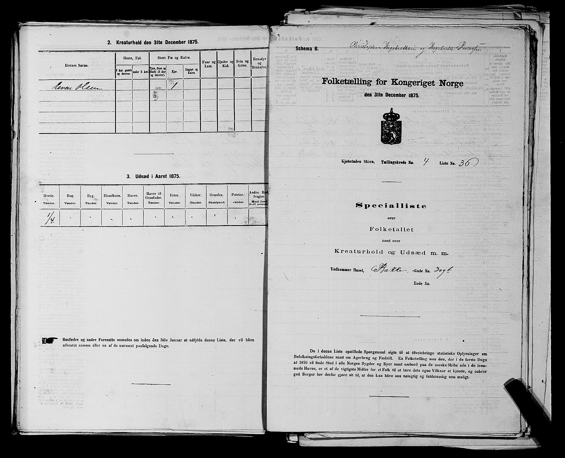 SAKO, 1875 census for 0806P Skien, 1875, p. 755