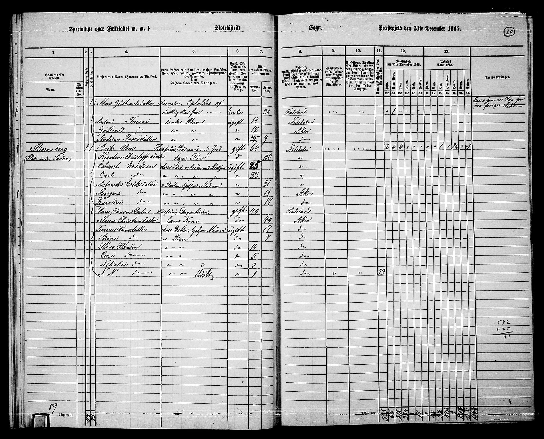 RA, 1865 census for Vestre Aker, 1865, p. 204