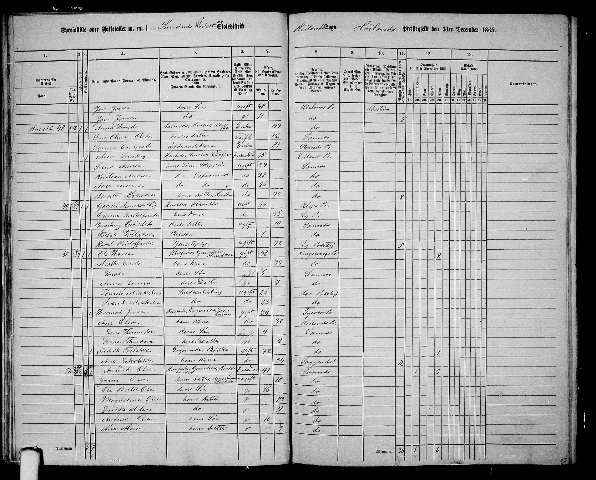 RA, 1865 census for Høyland, 1865, p. 162