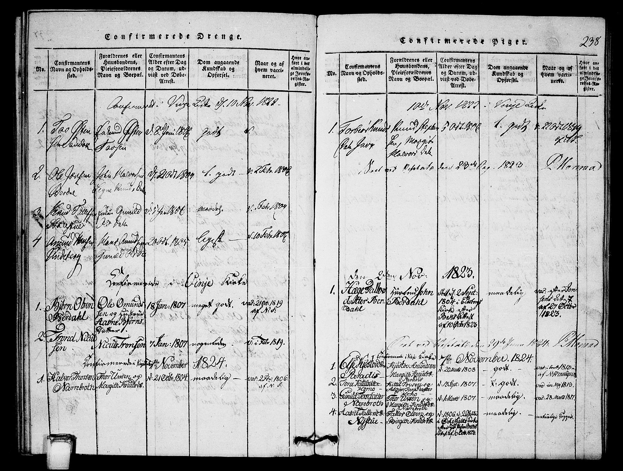 Vinje kirkebøker, SAKO/A-312/G/Gb/L0001: Parish register (copy) no. II 1, 1814-1843, p. 238