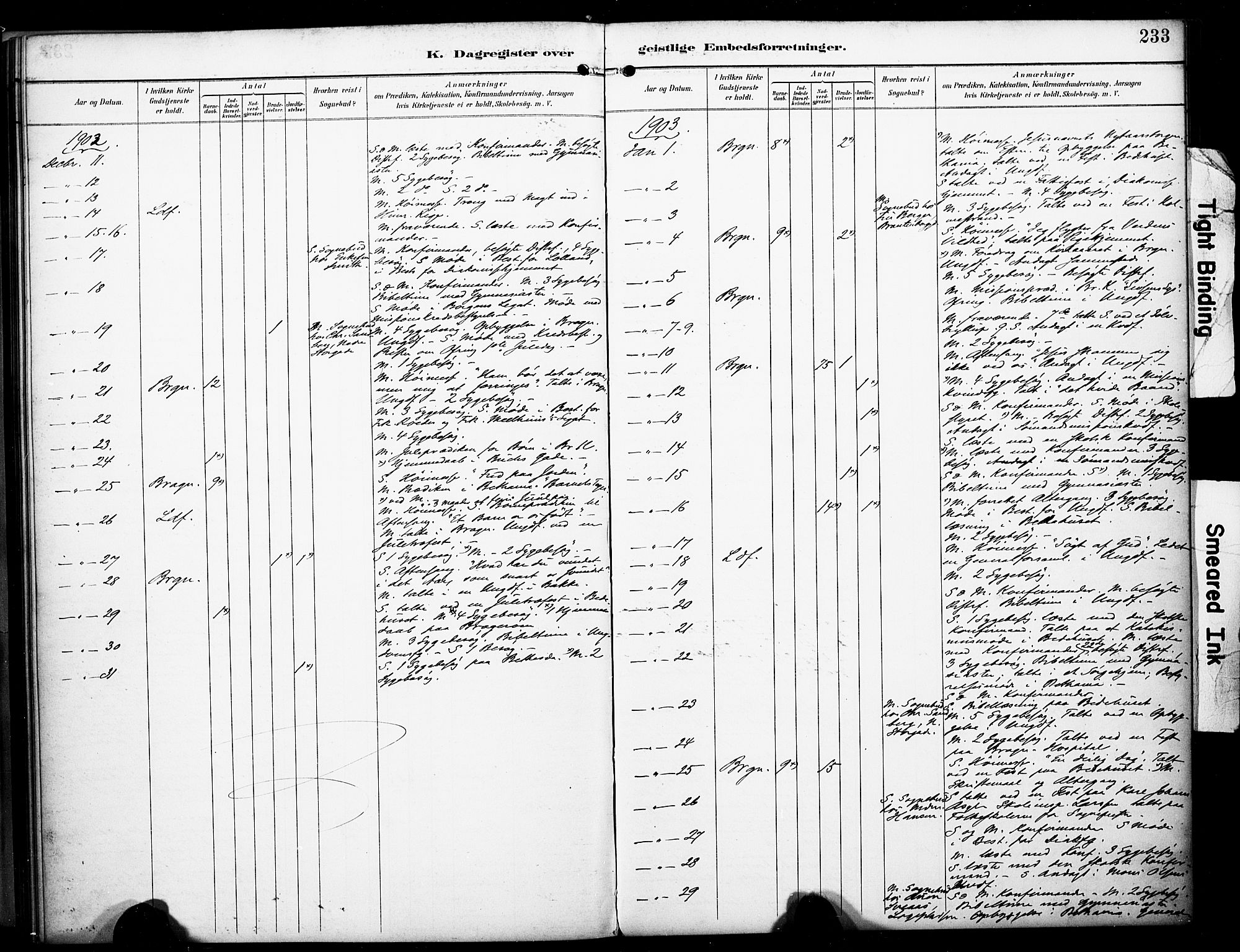 Bragernes kirkebøker, AV/SAKO-A-6/F/Fc/L0006: Parish register (official) no. III 6, 1888-1899, p. 233