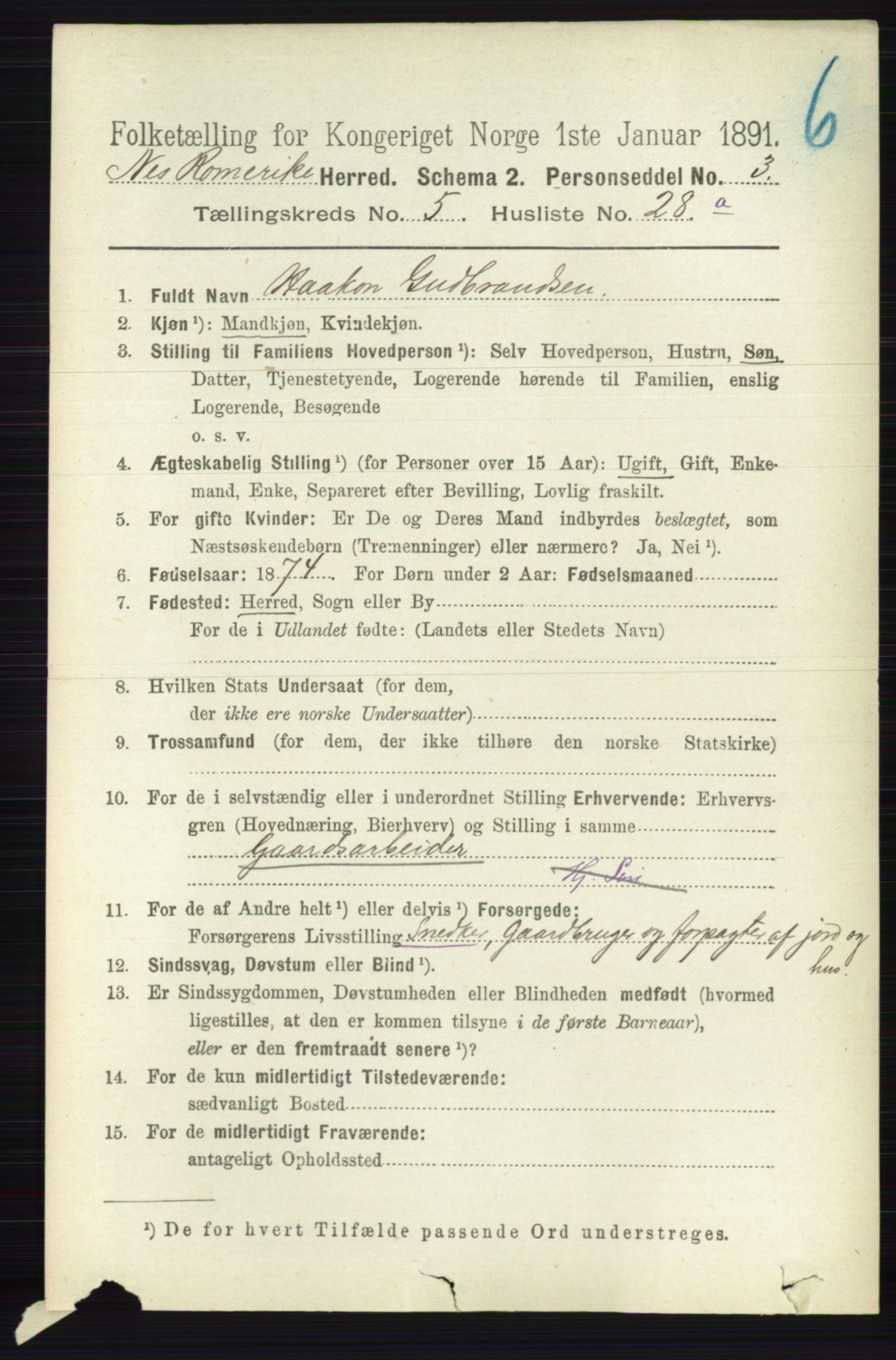 RA, 1891 census for 0236 Nes, 1891, p. 2950