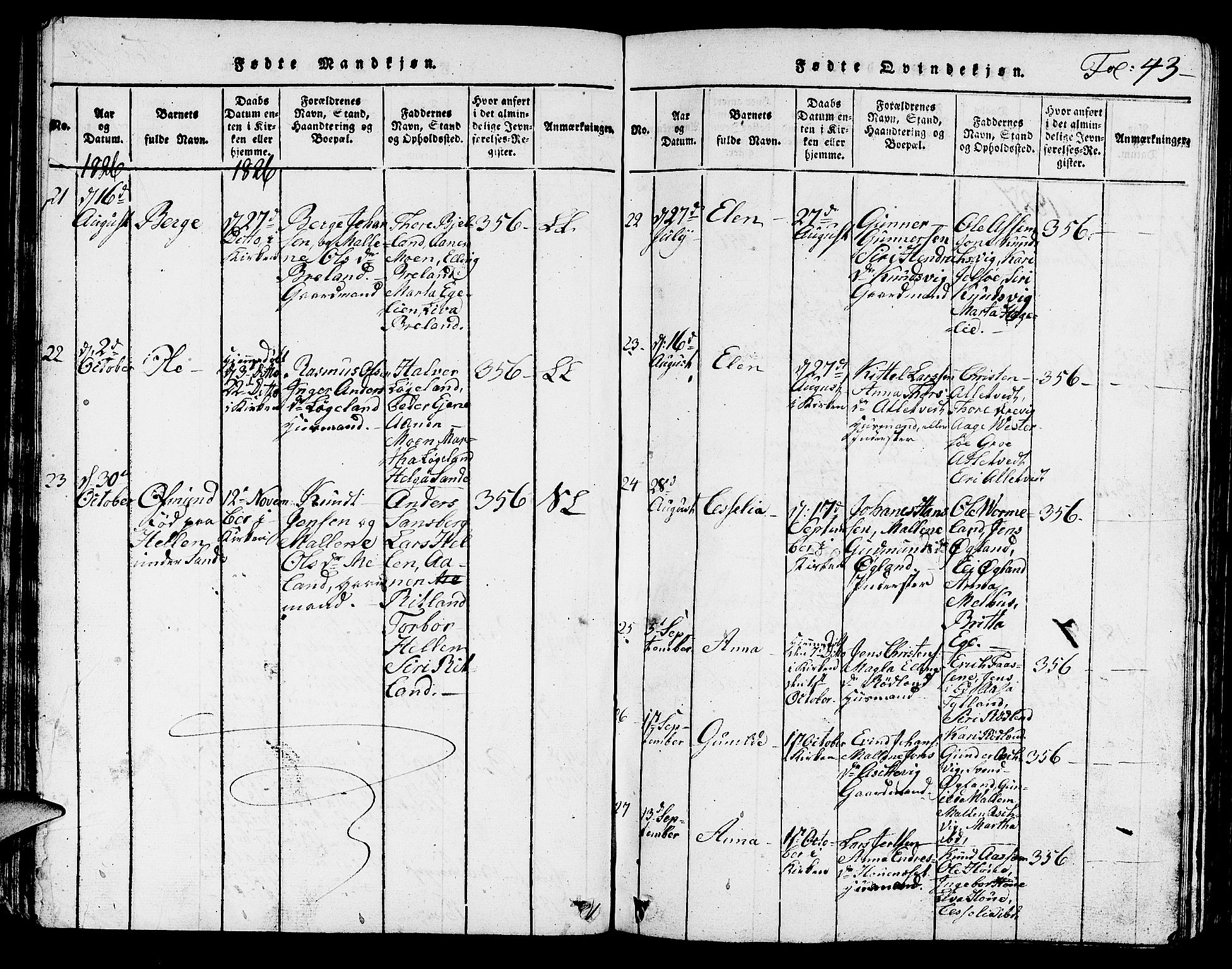 Hjelmeland sokneprestkontor, AV/SAST-A-101843/01/V/L0001: Parish register (copy) no. B 1, 1816-1841, p. 43