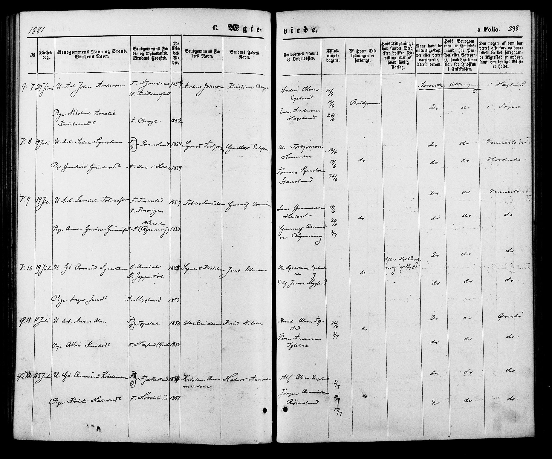 Vennesla sokneprestkontor, AV/SAK-1111-0045/Fa/Fac/L0008: Parish register (official) no. A 8, 1874-1883, p. 238