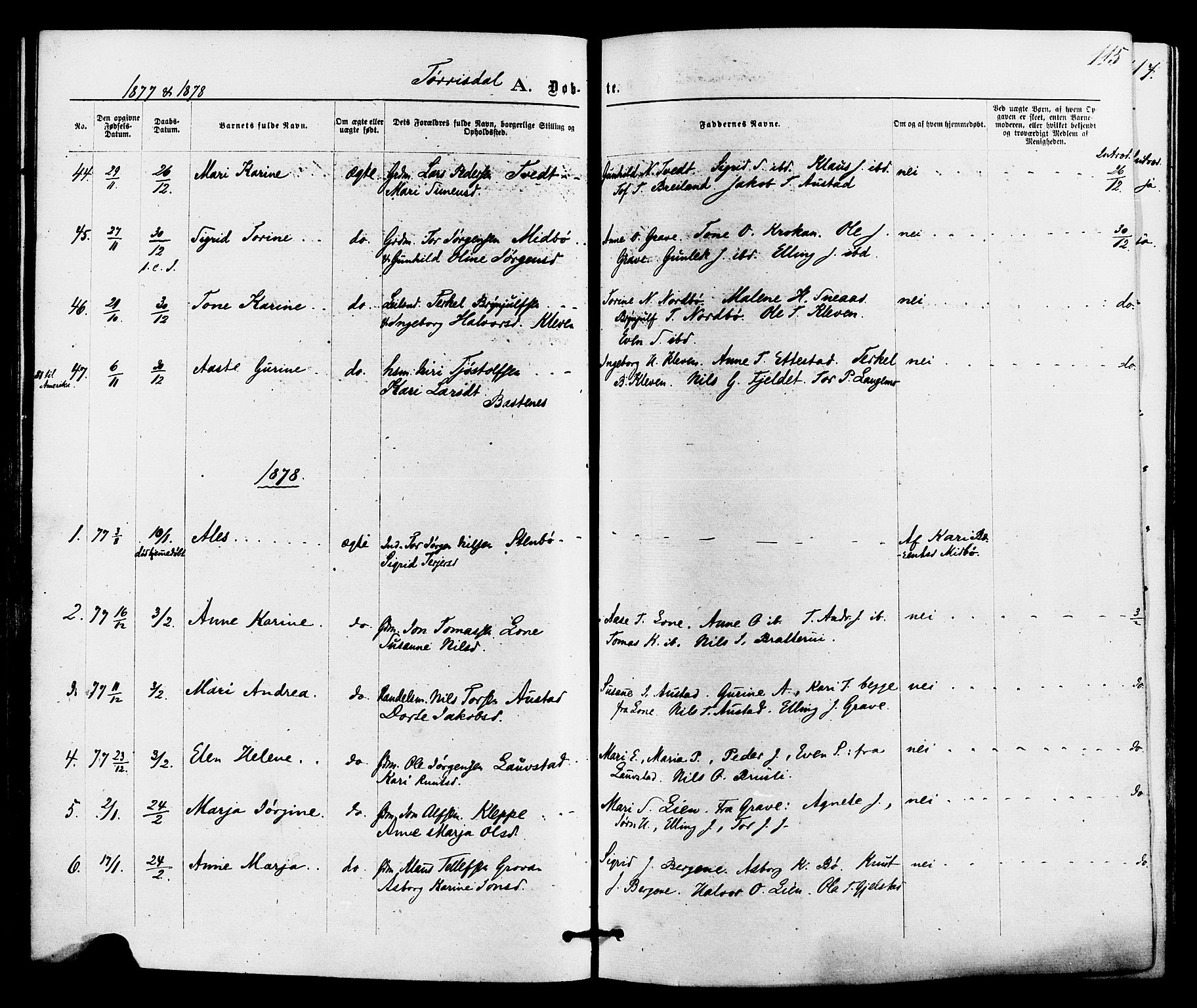 Drangedal kirkebøker, SAKO/A-258/F/Fa/L0009: Parish register (official) no. 9 /2, 1872-1884, p. 115