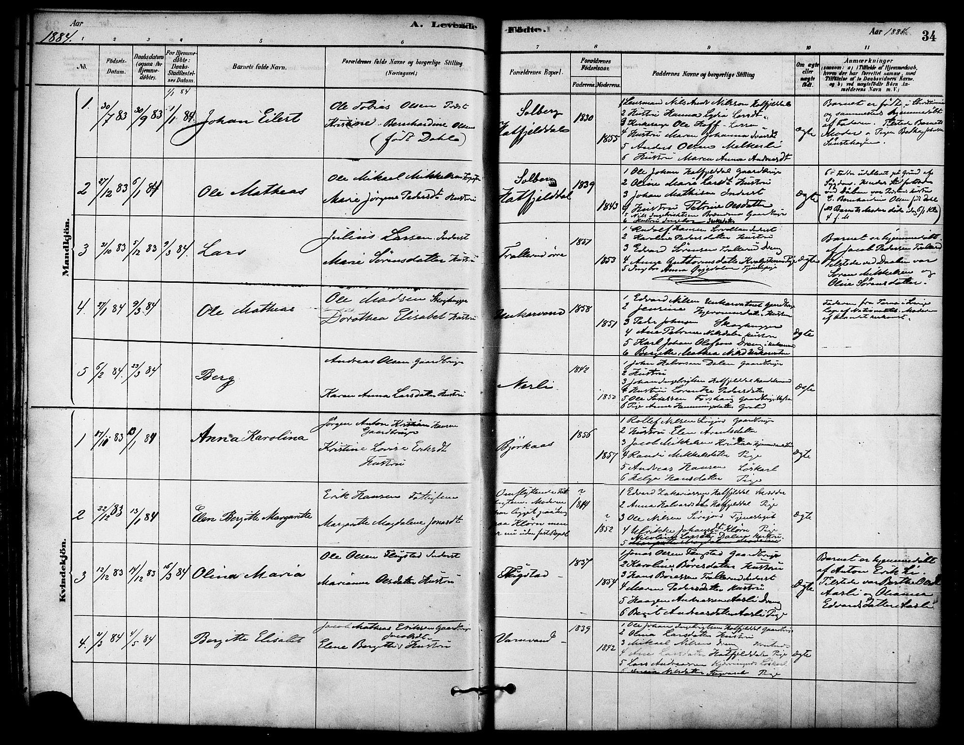 Ministerialprotokoller, klokkerbøker og fødselsregistre - Nordland, AV/SAT-A-1459/823/L0325: Parish register (official) no. 823A02, 1878-1898, p. 34