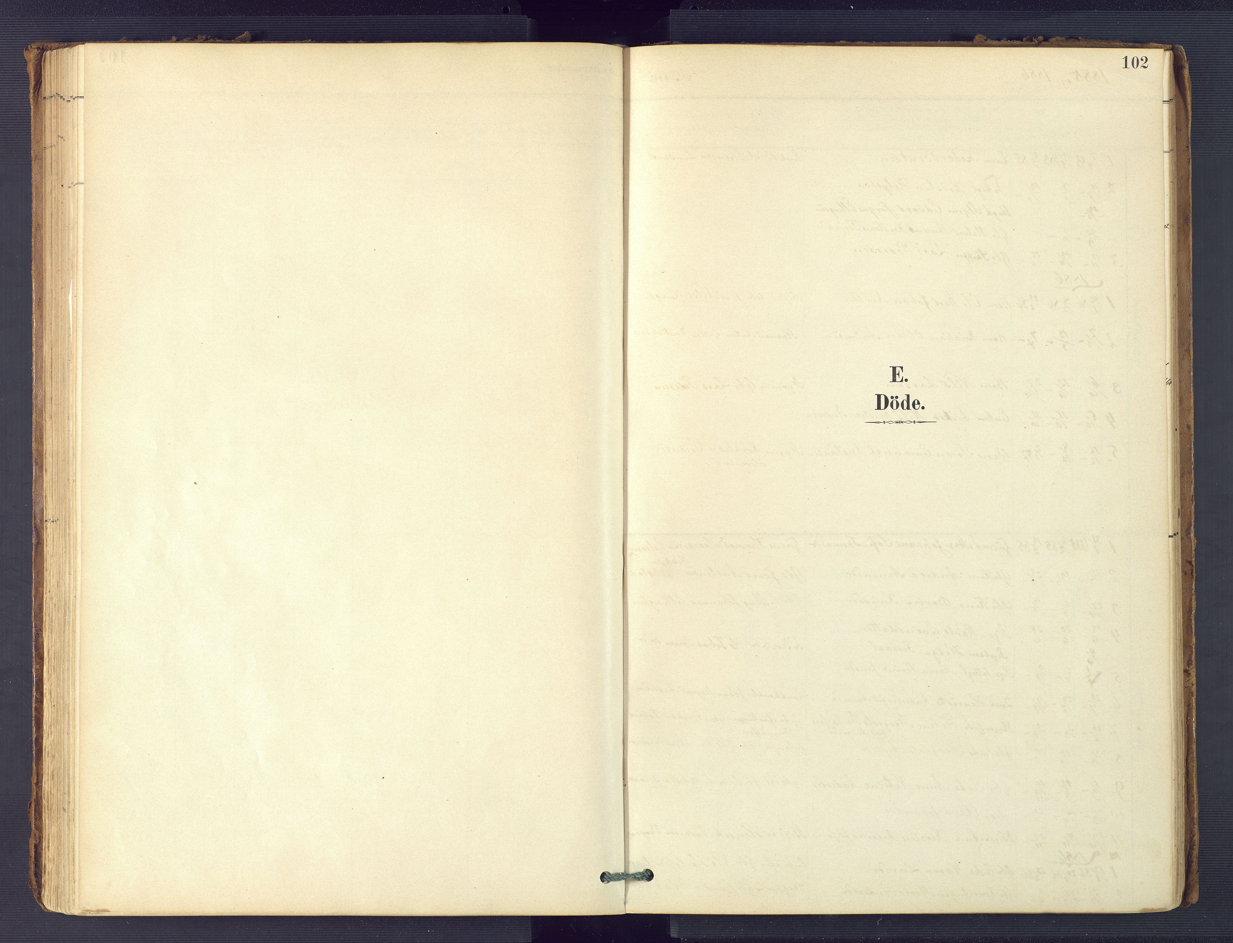 Hommedal sokneprestkontor, SAK/1111-0023/F/Fa/Faa/L0003: Parish register (official) no. A 3, 1885-1916, p. 102