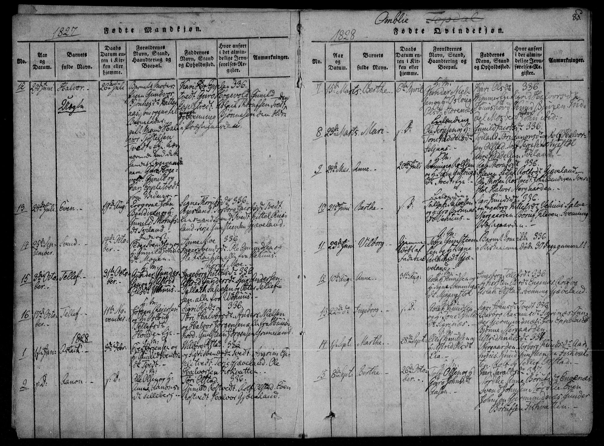 Åmli sokneprestkontor, AV/SAK-1111-0050/F/Fa/Fac/L0006: Parish register (official) no. A 6, 1816-1829, p. 85