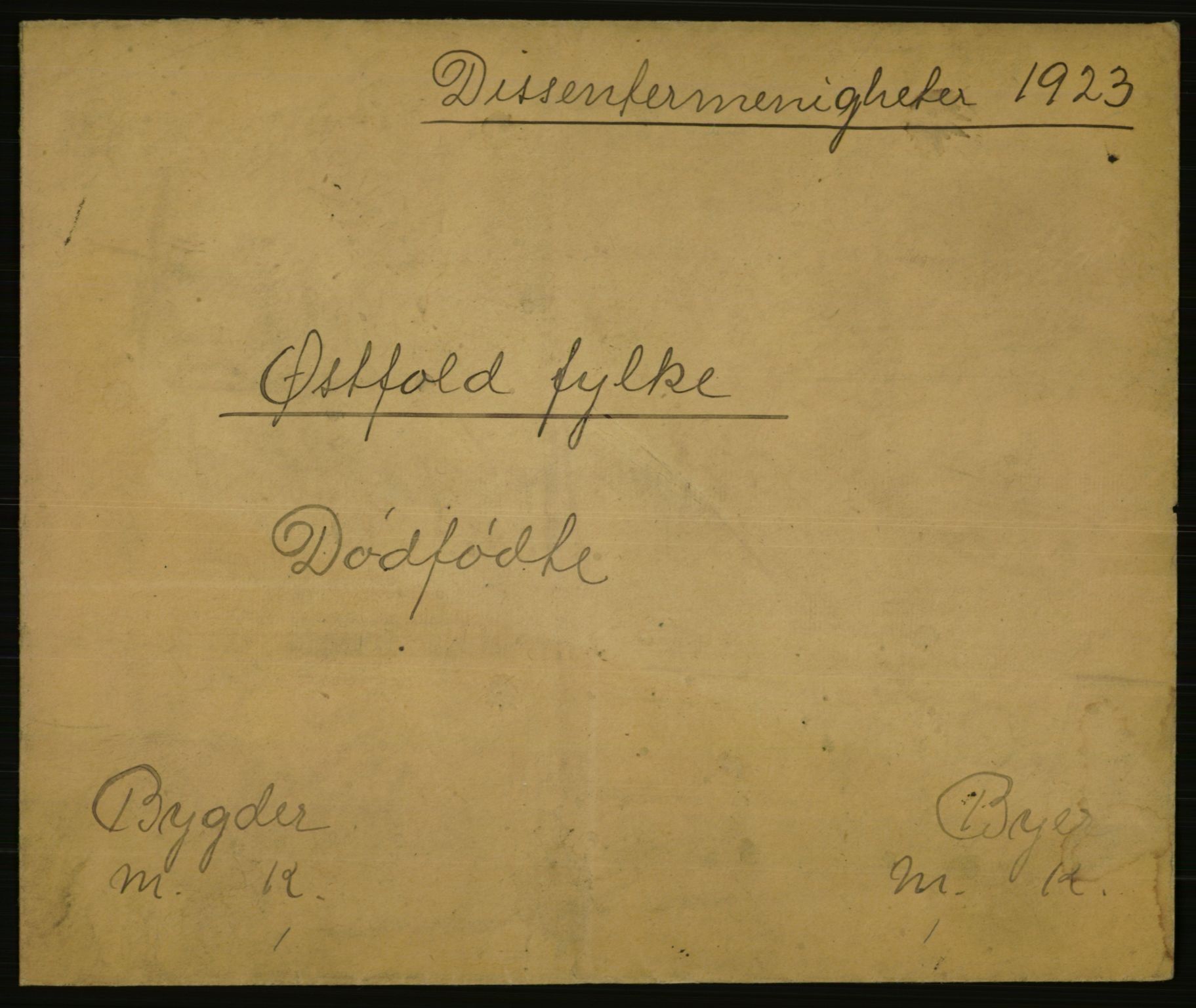 Statistisk sentralbyrå, Sosiodemografiske emner, Befolkning, AV/RA-S-2228/E/L0021: Fødte, gifte, døde dissentere., 1923, p. 3445