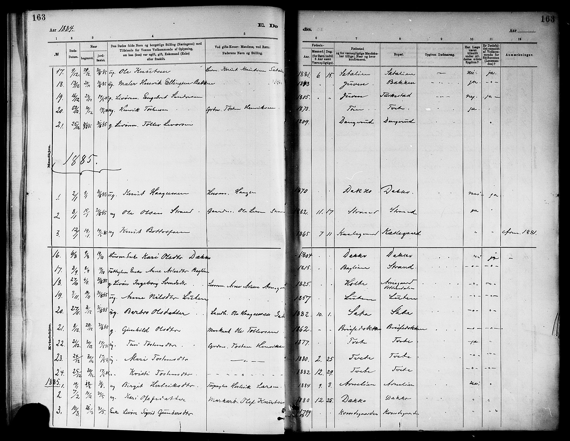 Ål kirkebøker, AV/SAKO-A-249/F/Fa/L0008: Parish register (official) no. I 8, 1882-1896, p. 163