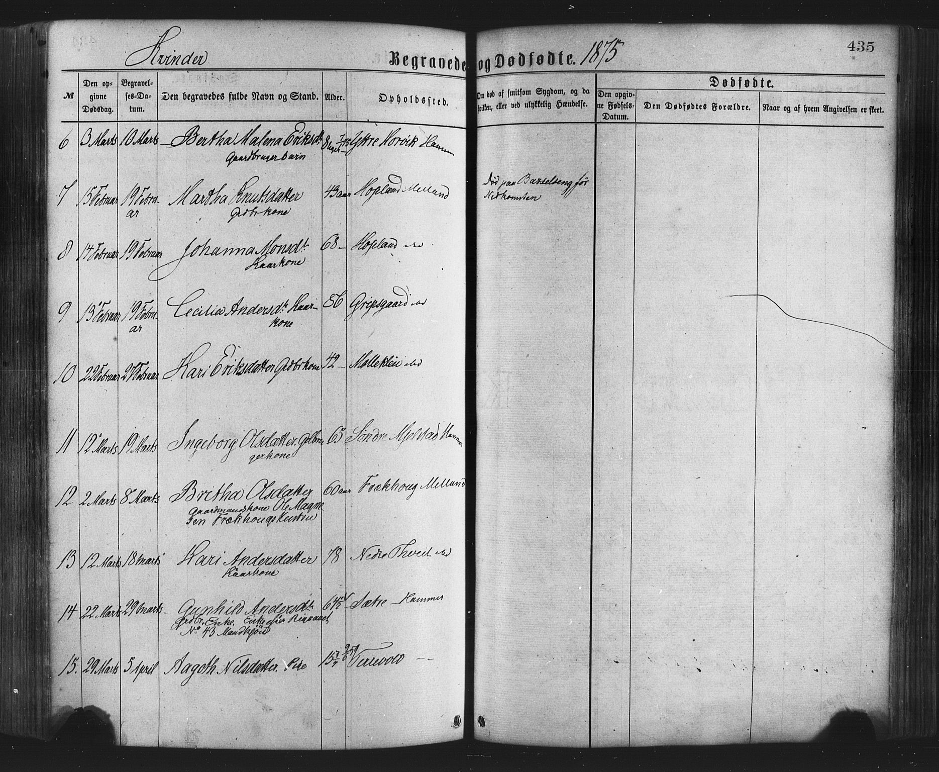 Hamre sokneprestembete, AV/SAB-A-75501/H/Ha/Haa/Haaa/L0015: Parish register (official) no. A 15, 1870-1881, p. 435