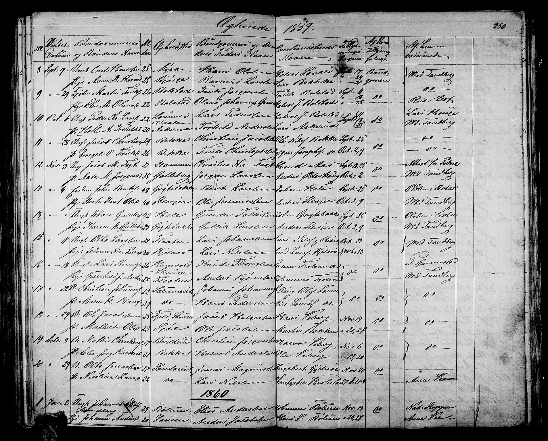 Sande Kirkebøker, AV/SAKO-A-53/G/Ga/L0002: Parish register (copy) no. 2, 1847-1863, p. 250