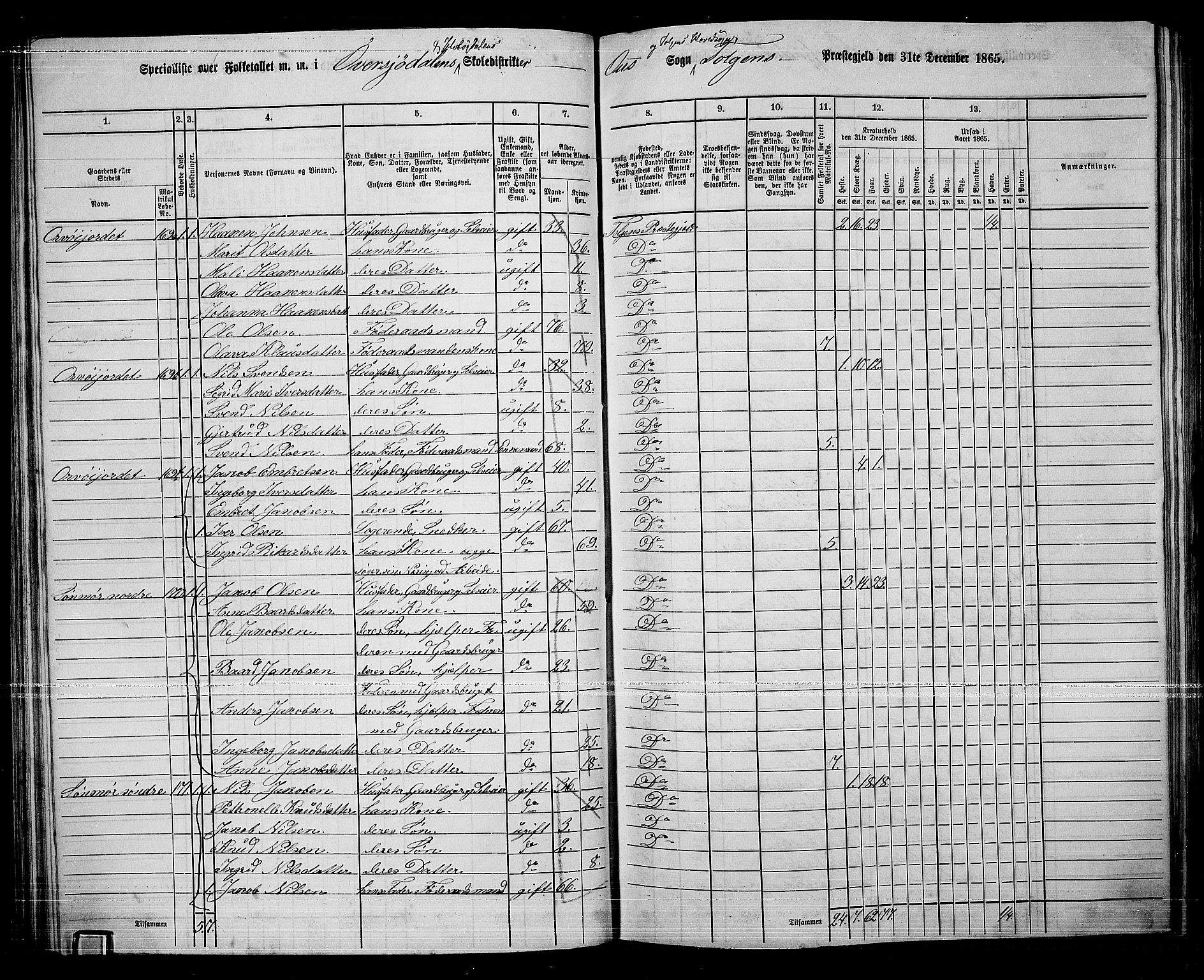 RA, 1865 census for Tolga, 1865, p. 80