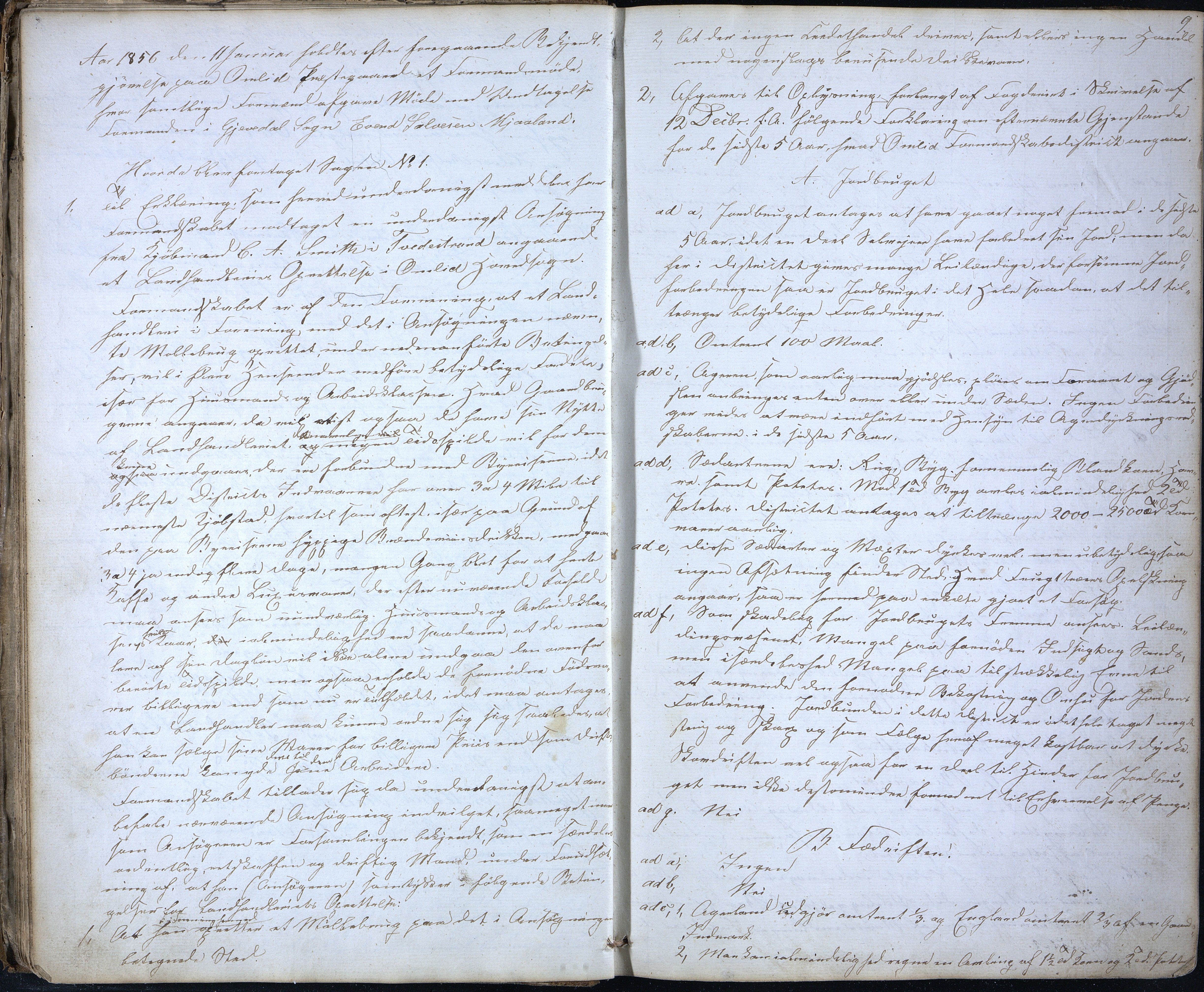 Åmli kommune før 1985, AAKS/KA0929-PK/01/01a/L0002: Møtebok, 1855-1868, p. 9