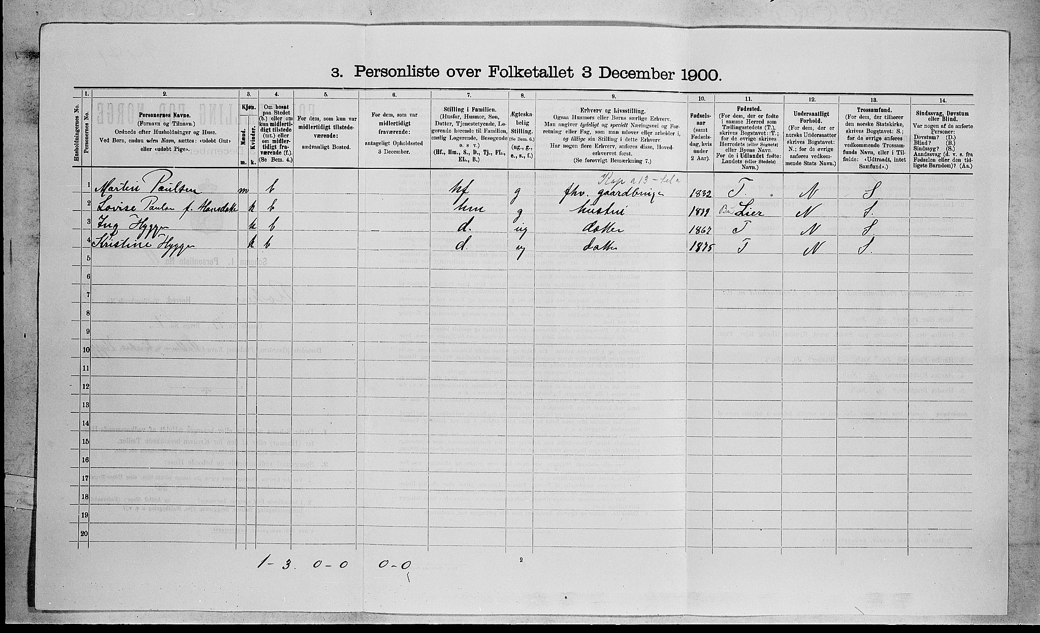 RA, 1900 census for Røyken, 1900, p. 373