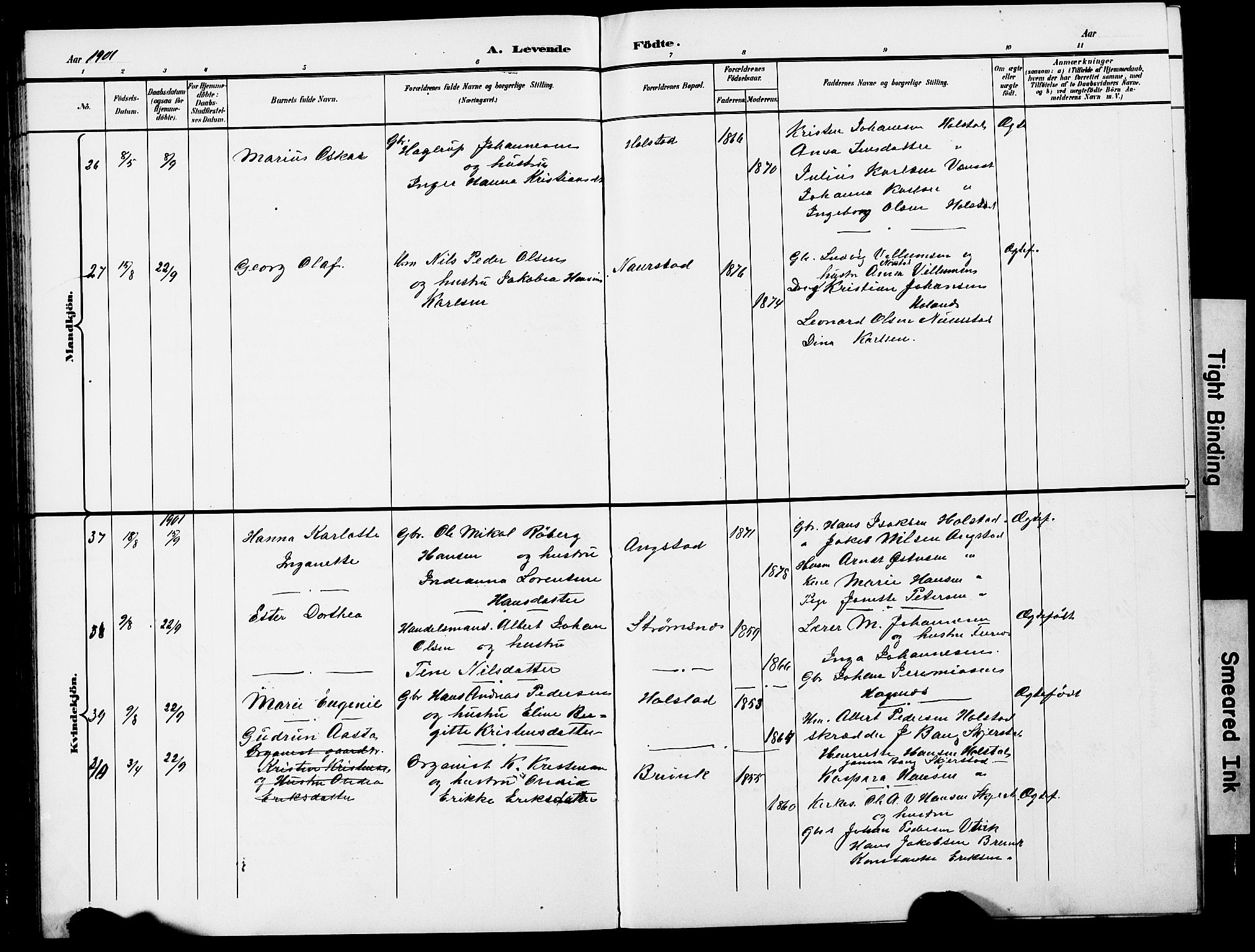 Ministerialprotokoller, klokkerbøker og fødselsregistre - Nordland, AV/SAT-A-1459/852/L0755: Parish register (copy) no. 852C06, 1895-1902