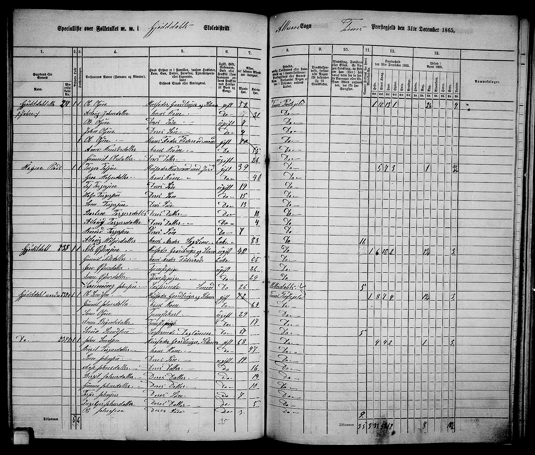 RA, 1865 census for Tinn, 1865, p. 55