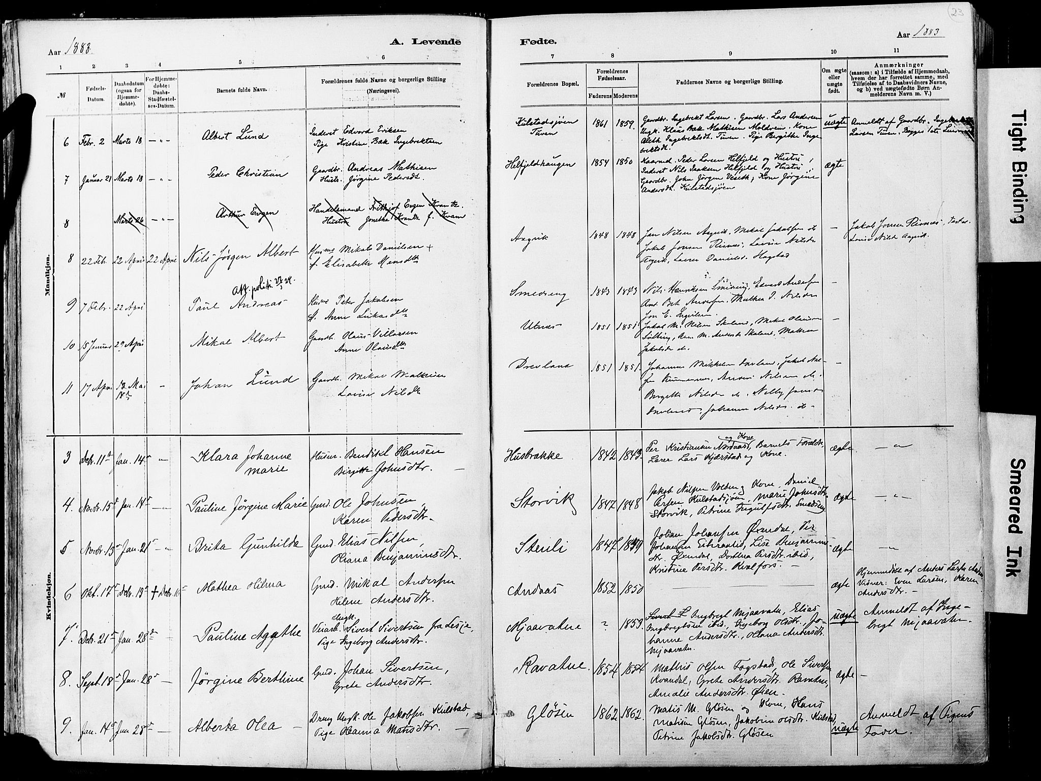 Ministerialprotokoller, klokkerbøker og fødselsregistre - Nordland, SAT/A-1459/820/L0295: Parish register (official) no. 820A16, 1880-1896, p. 23