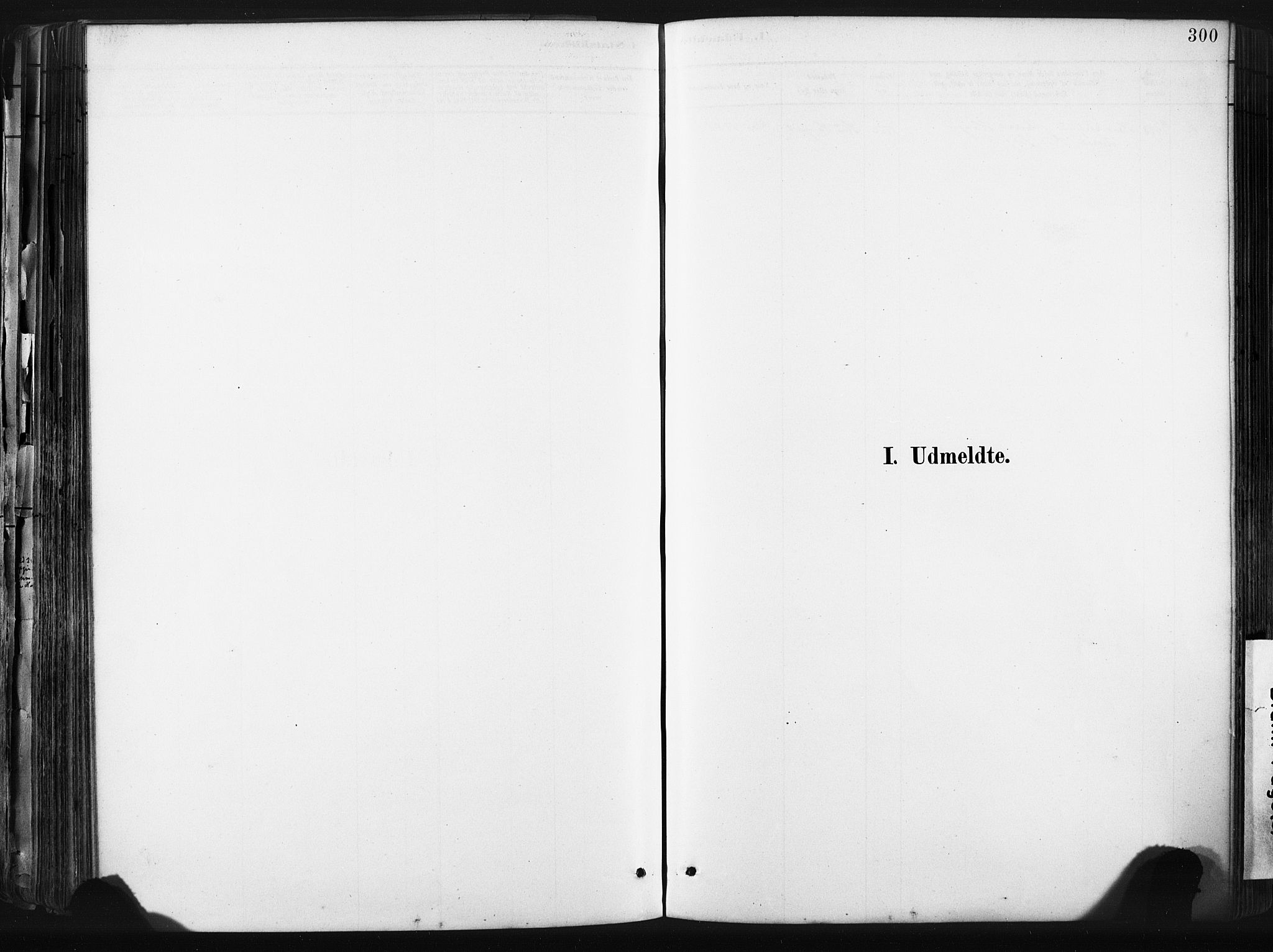 Sund sokneprestembete, SAB/A-99930: Parish register (official) no. B 1, 1882-1907, p. 300