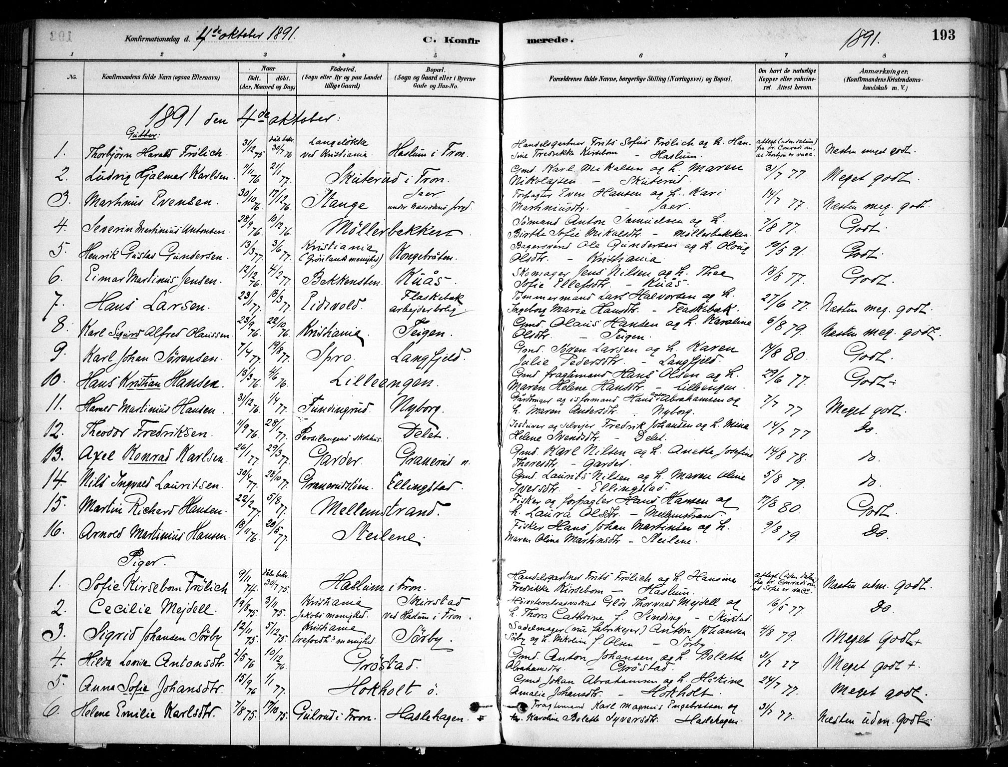 Nesodden prestekontor Kirkebøker, SAO/A-10013/F/Fa/L0009: Parish register (official) no. I 9, 1880-1915, p. 193