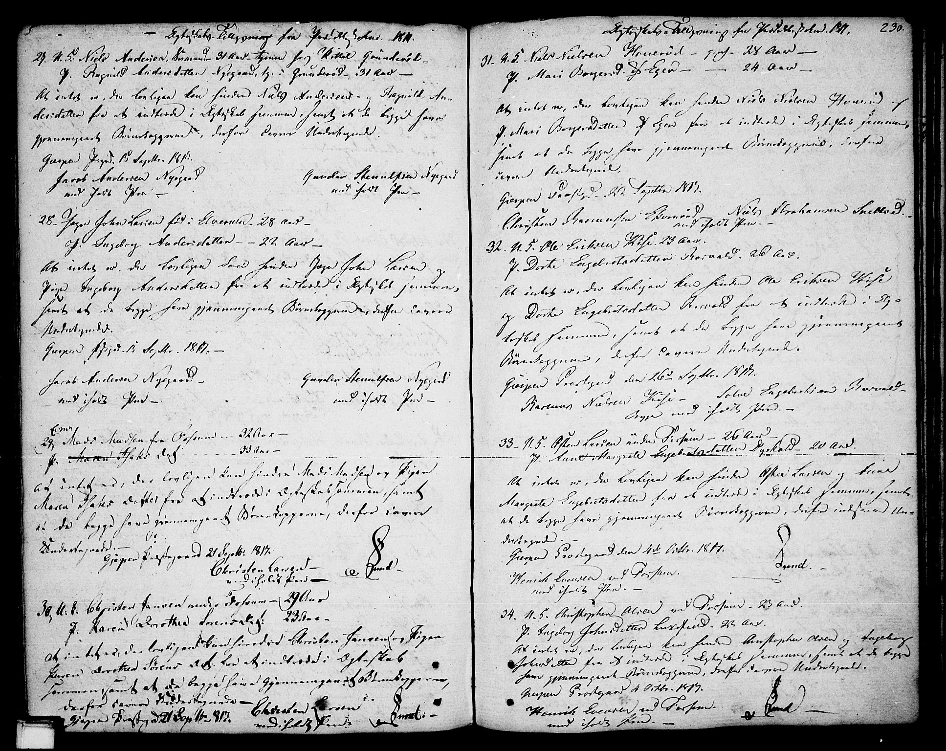 Gjerpen kirkebøker, SAKO/A-265/F/Fa/L0003: Parish register (official) no. I 3, 1796-1814, p. 230