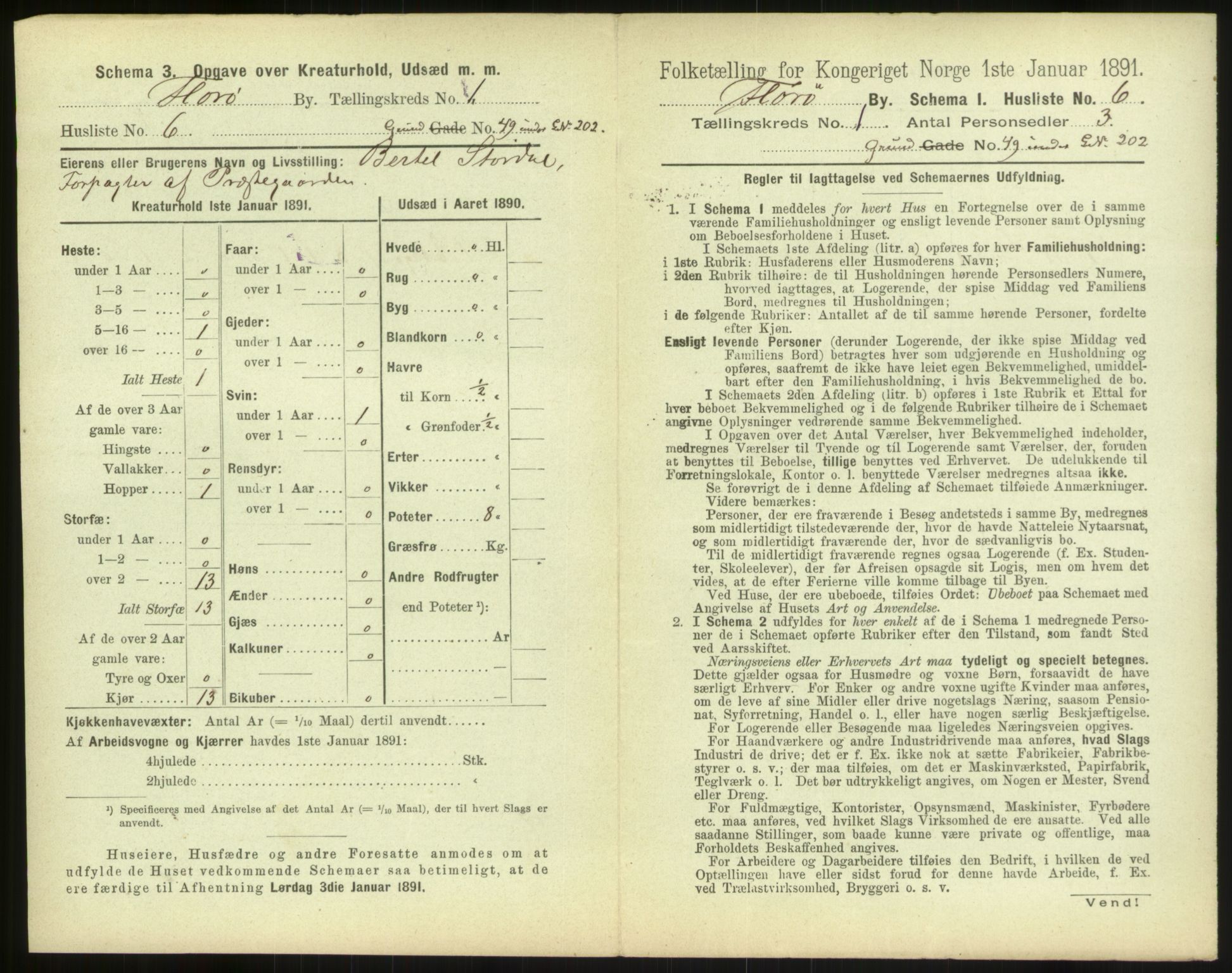 RA, 1891 census for 1401 Florø, 1891, p. 19